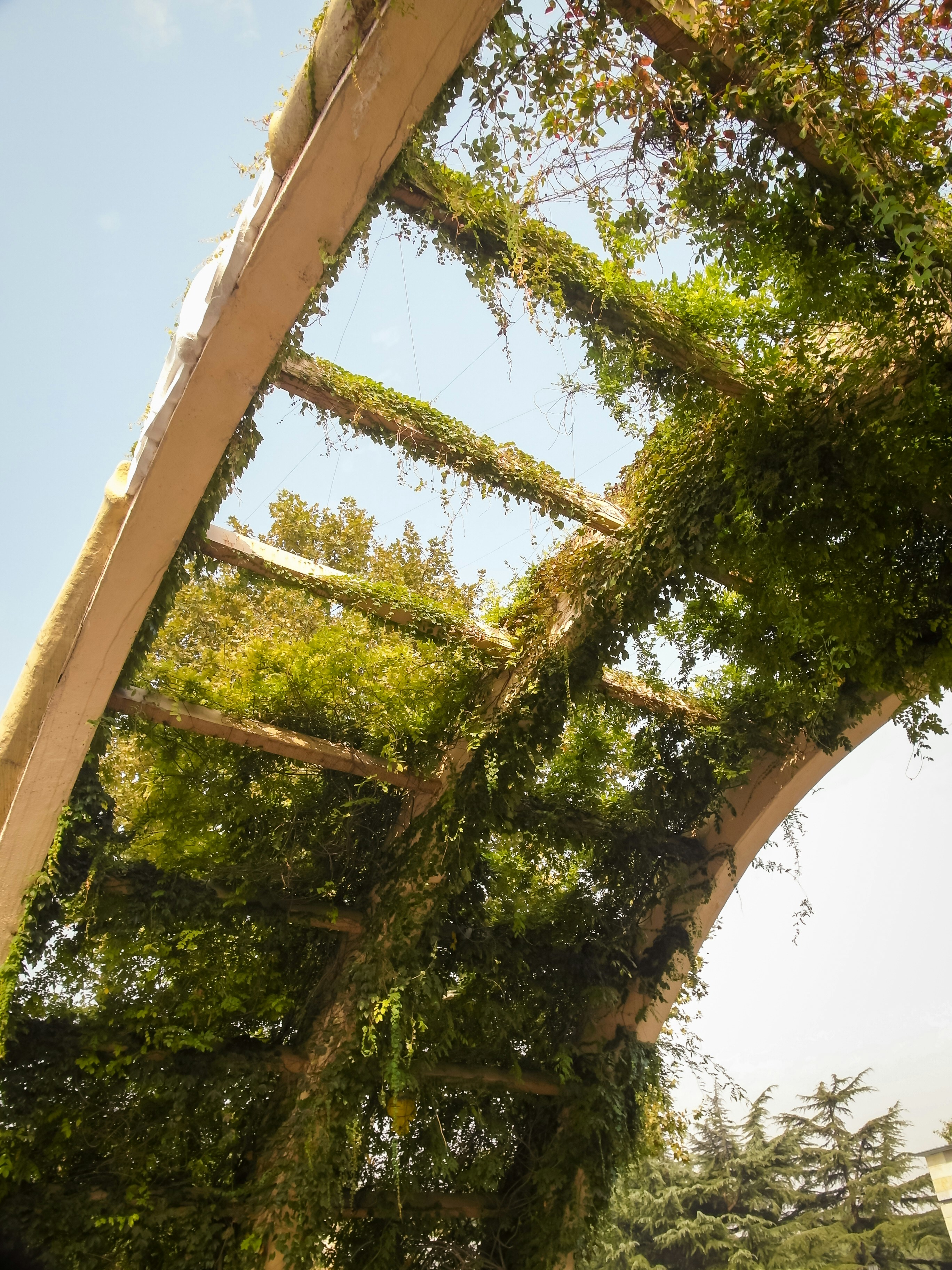 Photo by lazarevmaru