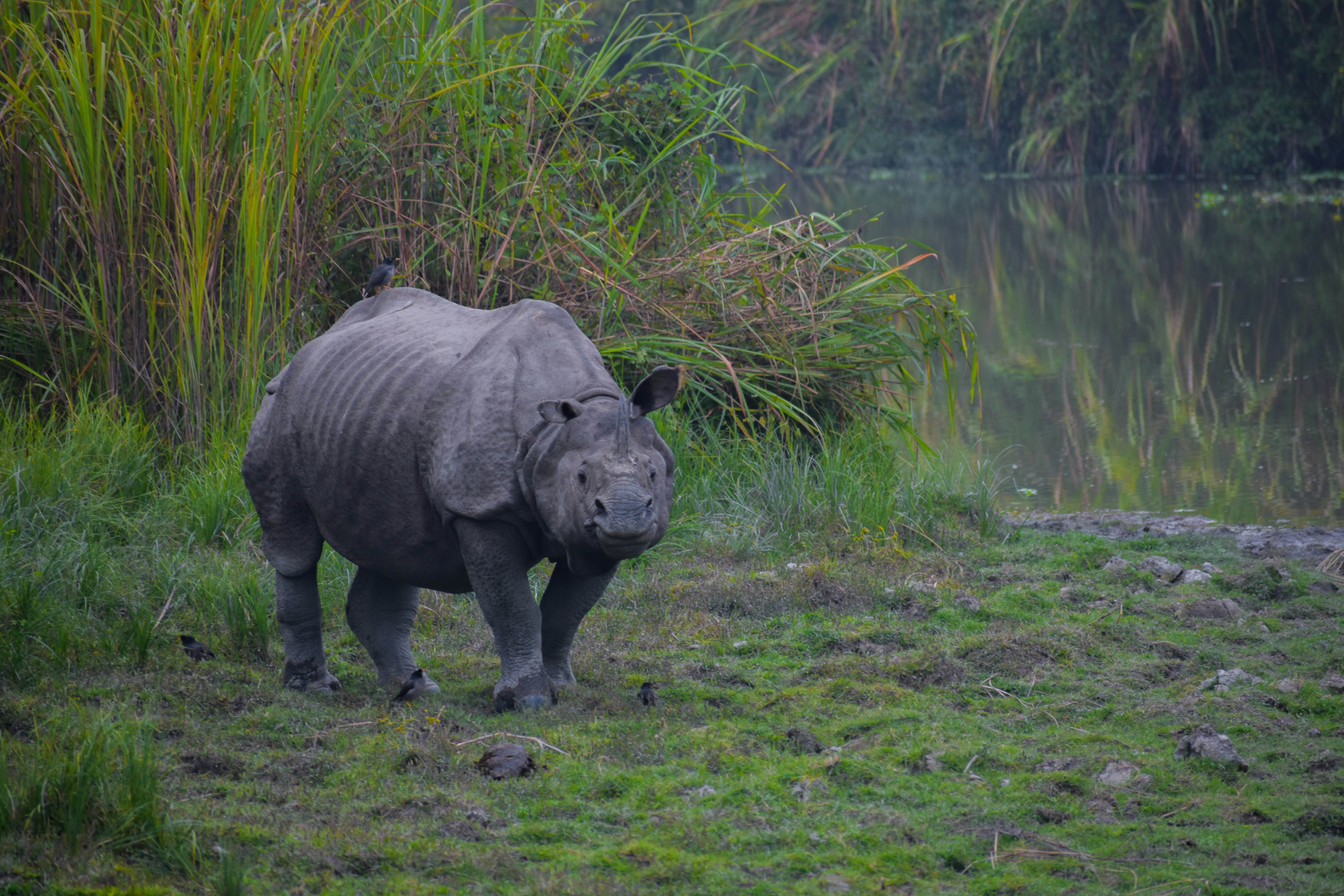 Photo by neelakshi_singh_