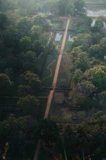 an aerial view of a lush green park