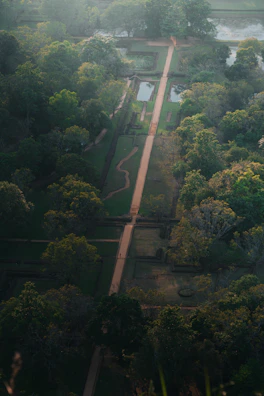 an aerial view of a lush green park