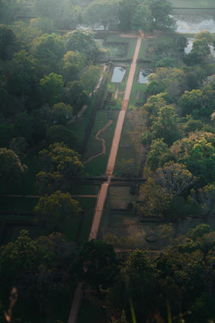 an aerial view of a lush green park