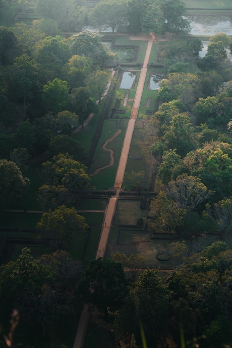 an aerial view of a lush green park