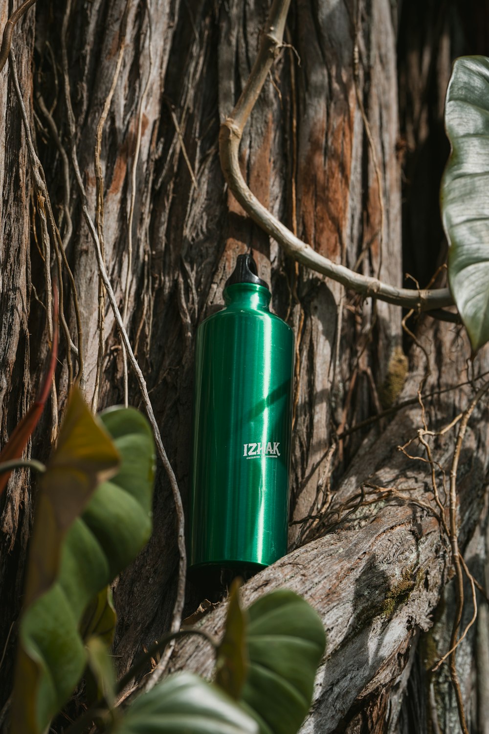 a green water bottle sitting on top of a tree