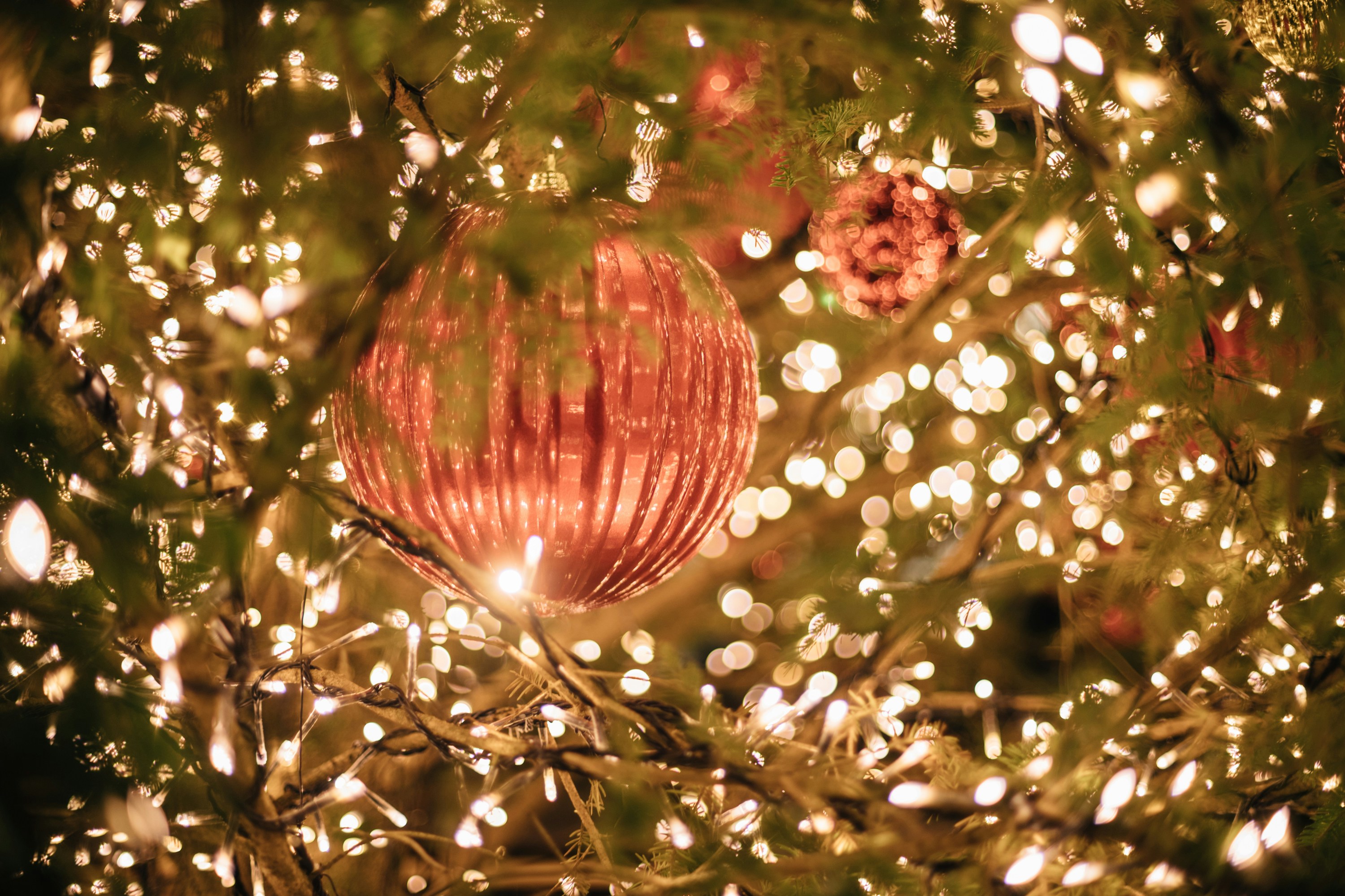 Photo by tsuyoshikozu