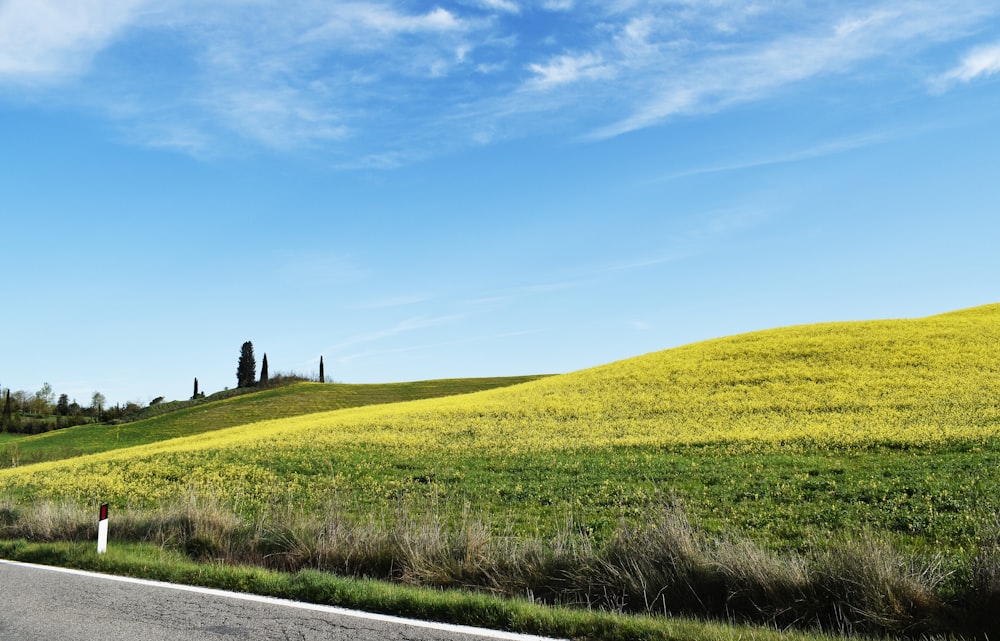 a road going through a lush green countryside