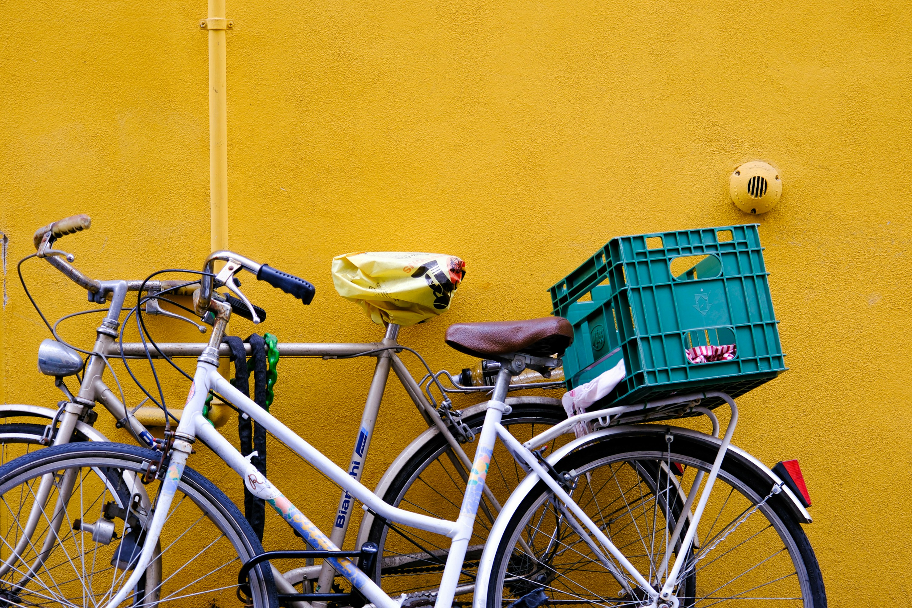 Photo by cestmoisheedy