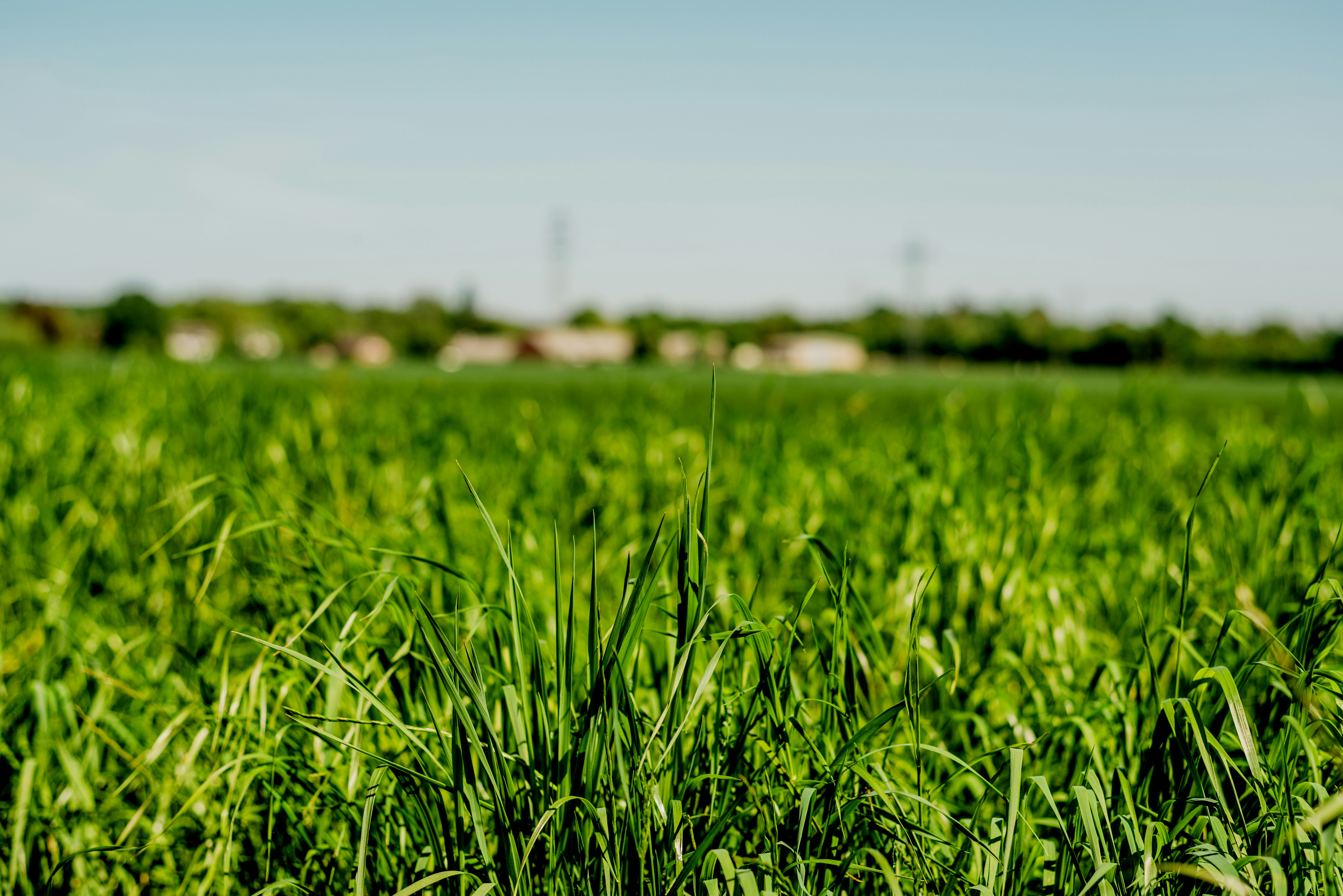 Photo by eugenivy_now