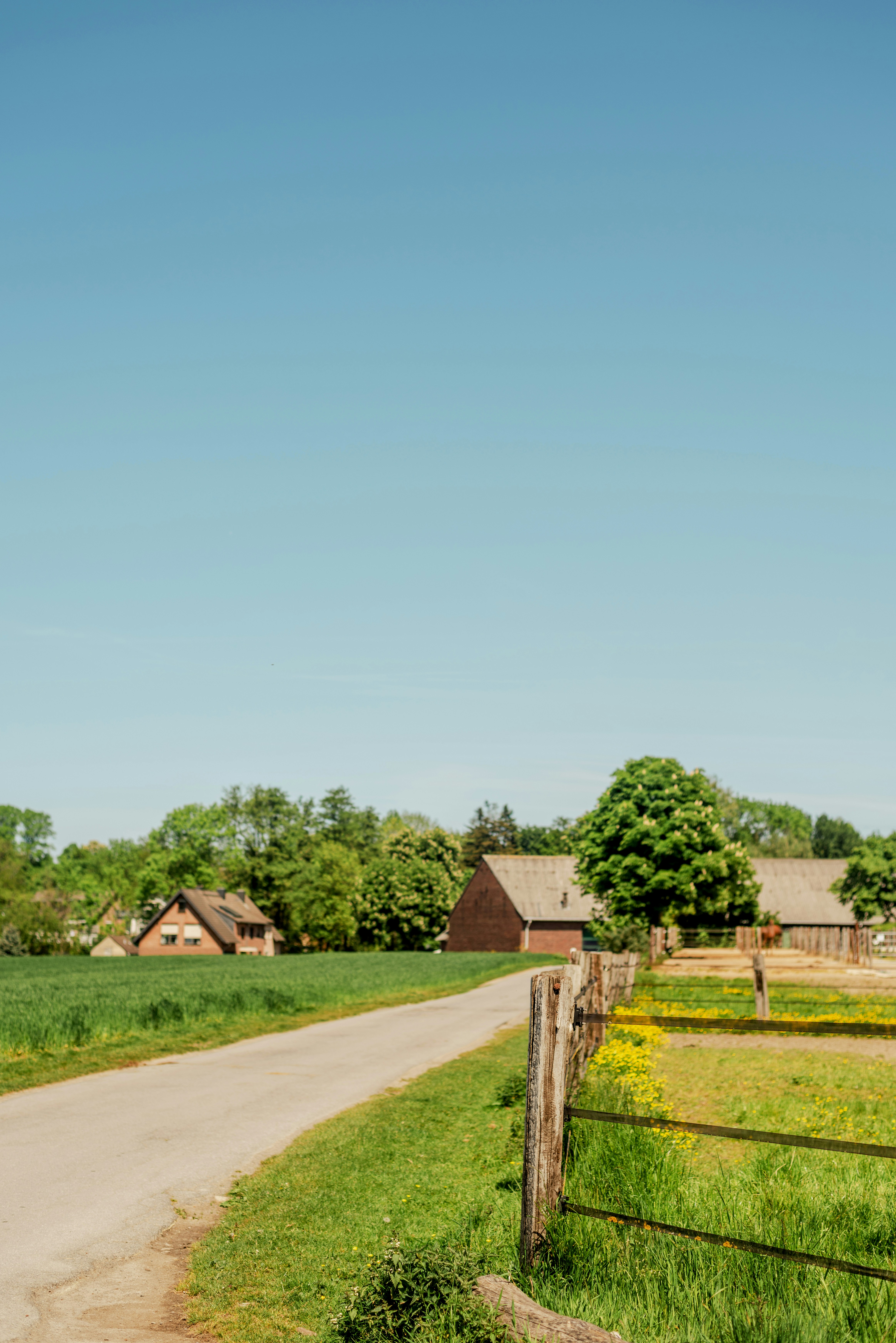 Photo by eugenivy_now