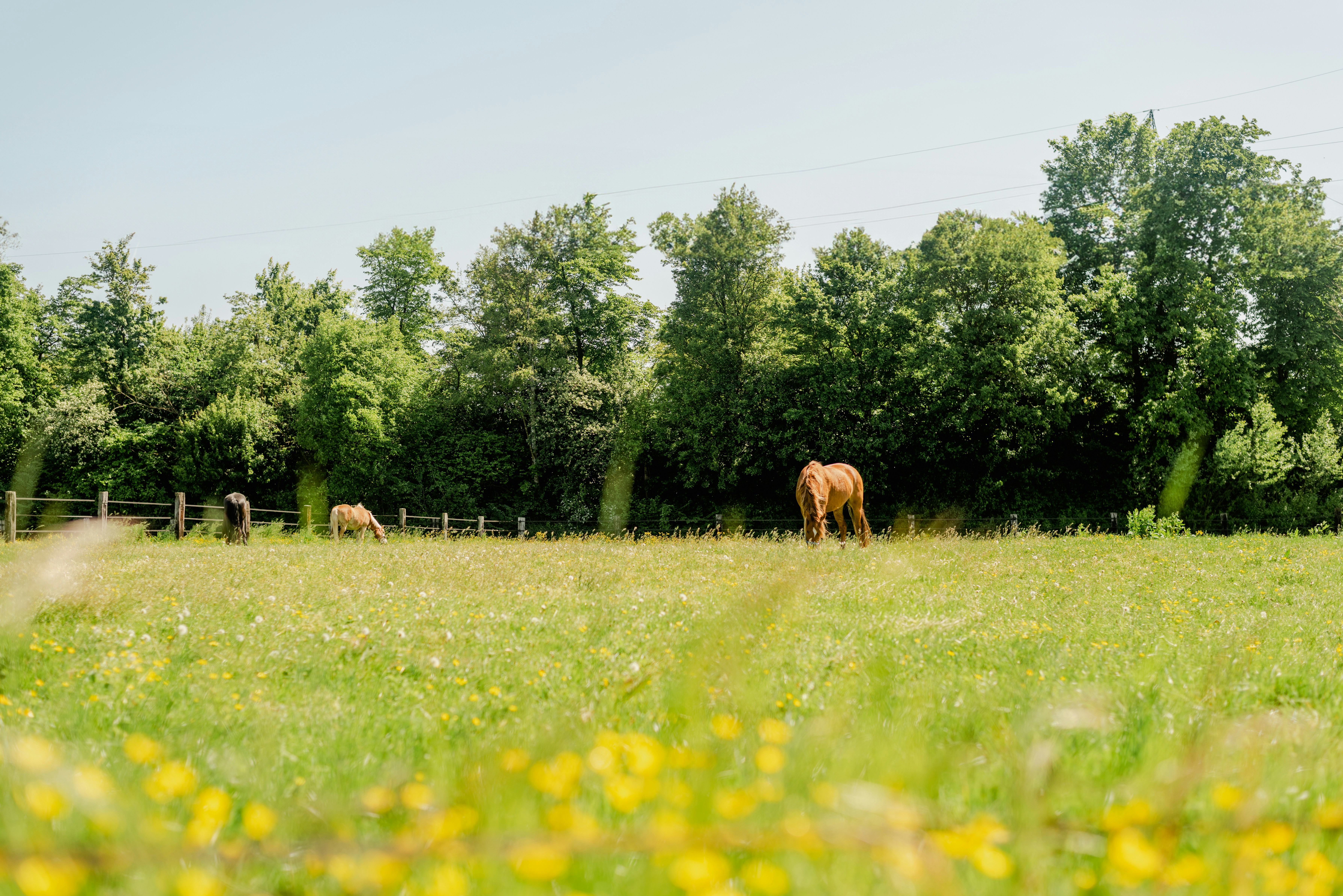 Photo by eugenivy_now