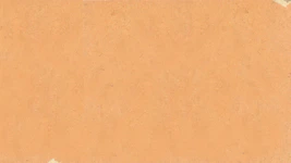 a piece of paper that has been torn off