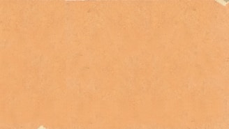 a piece of paper that has been torn off