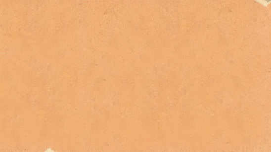 a piece of paper that has been torn off