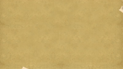 a piece of parchment paper with torn edges