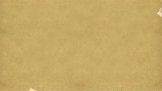 a piece of parchment paper with torn edges