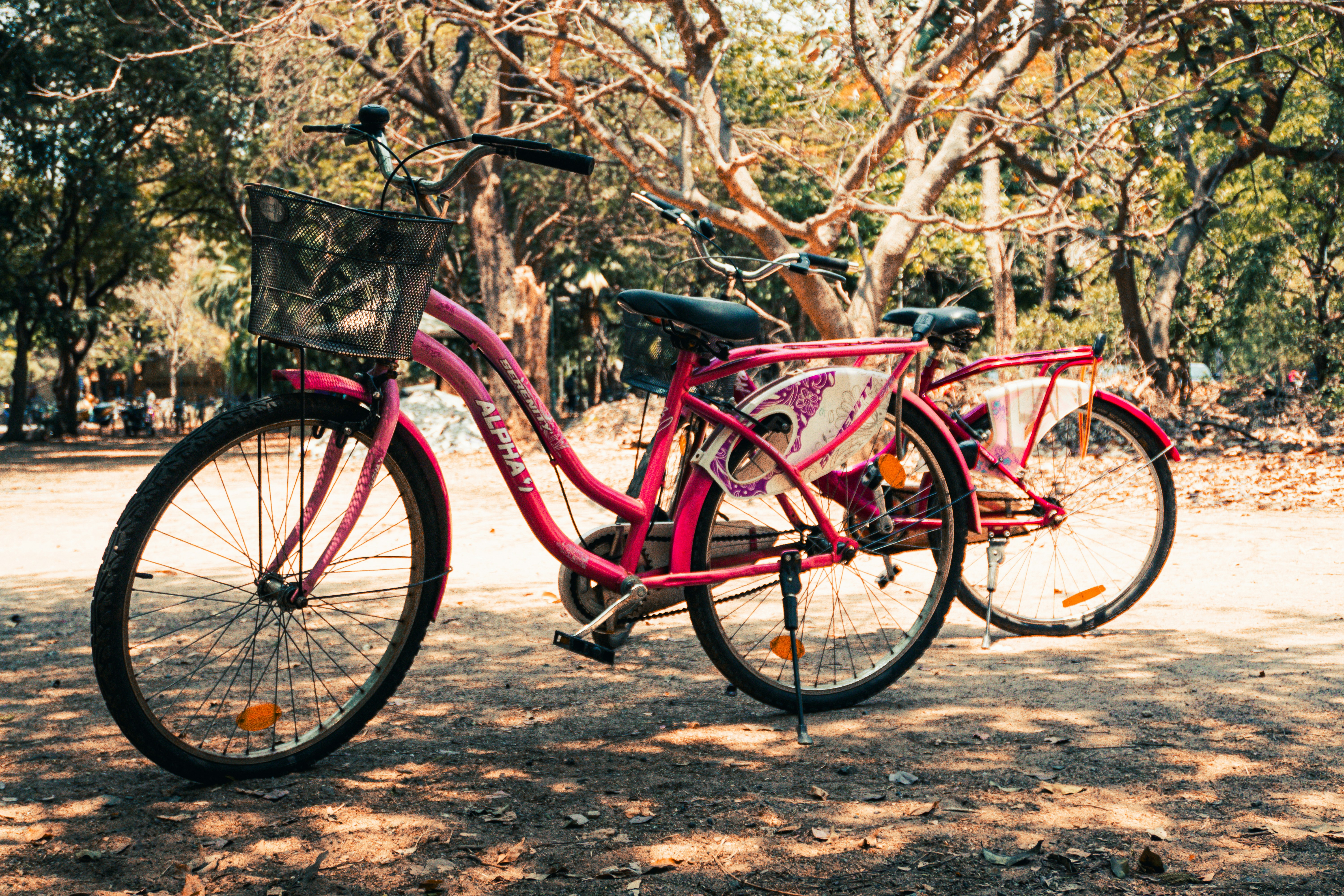 Photo by nikhil_sachan