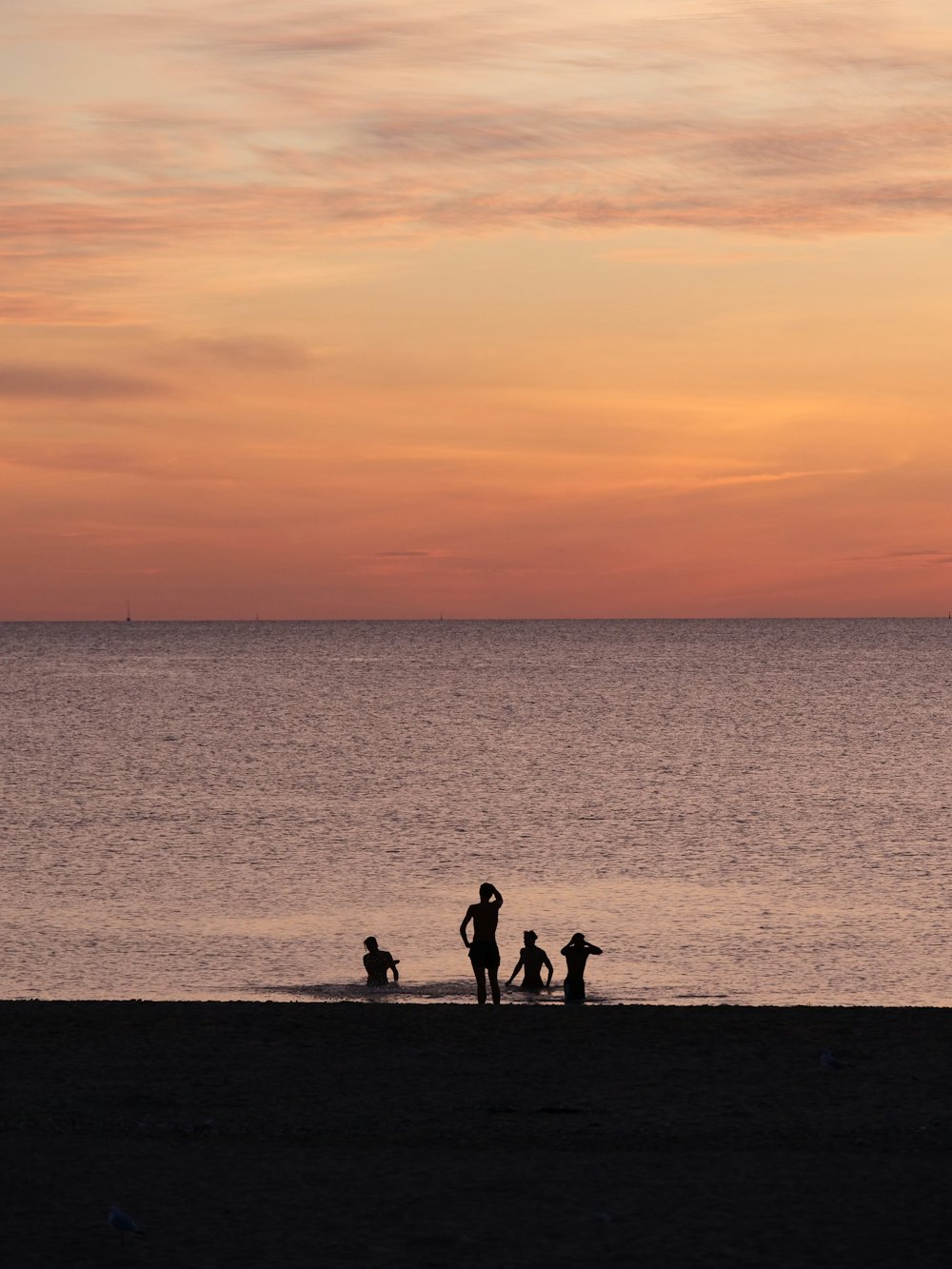 a group of people standing on top of a beach next to the ocean