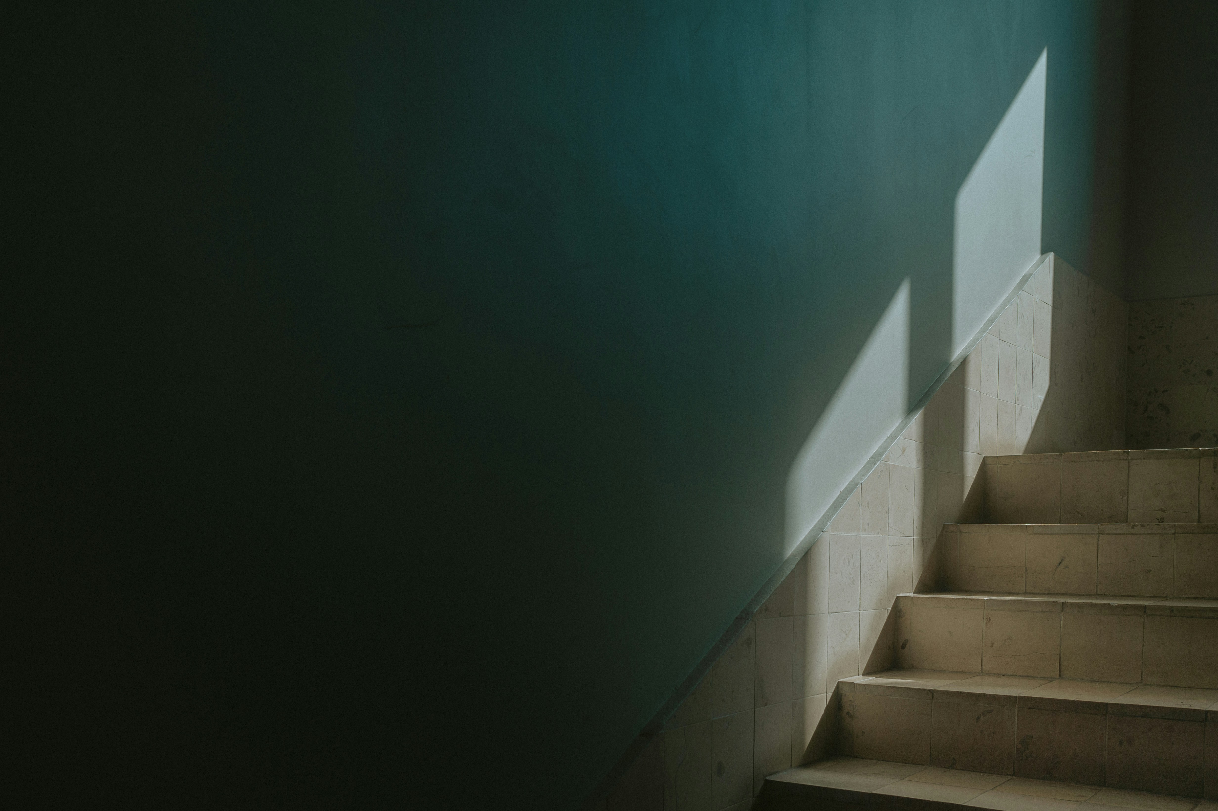 Photo by vonshnauzer