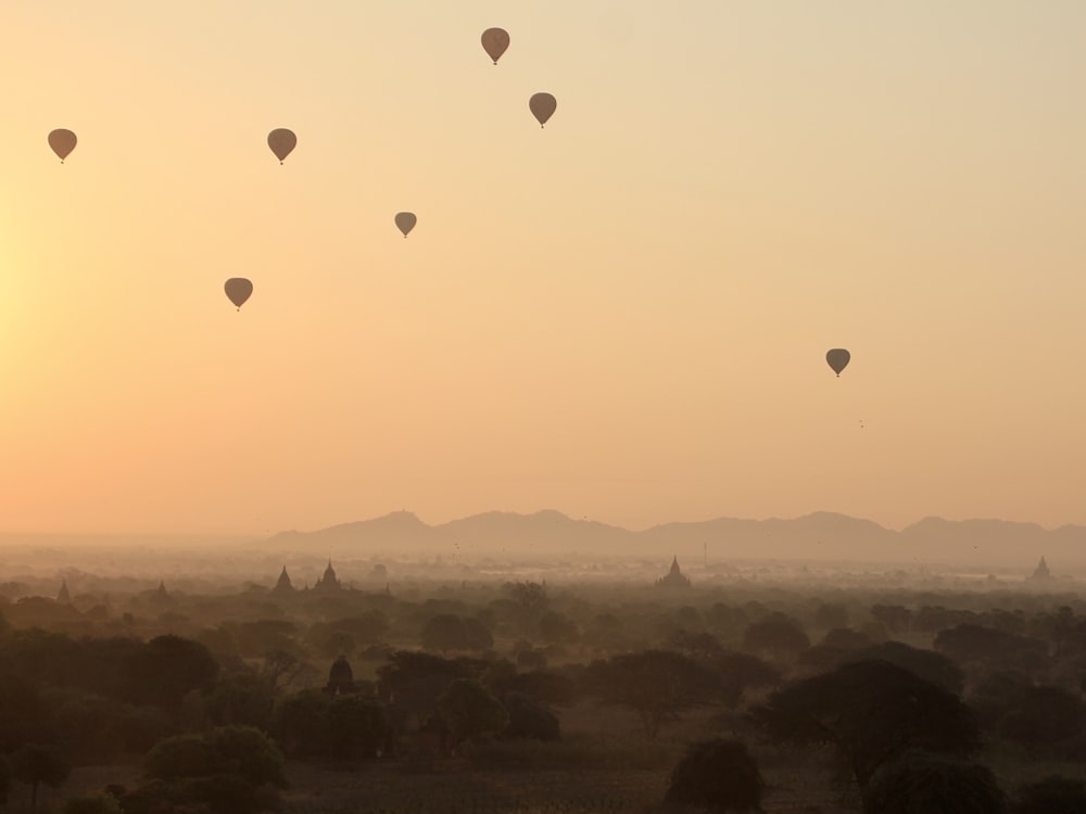 Eine Gruppe von Heißluftballons, die am Himmel fliegen