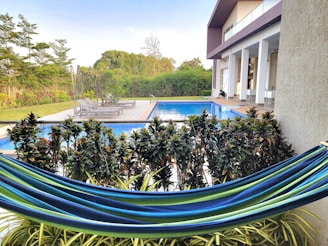 a blue and green hammock sitting next to a swimming pool
