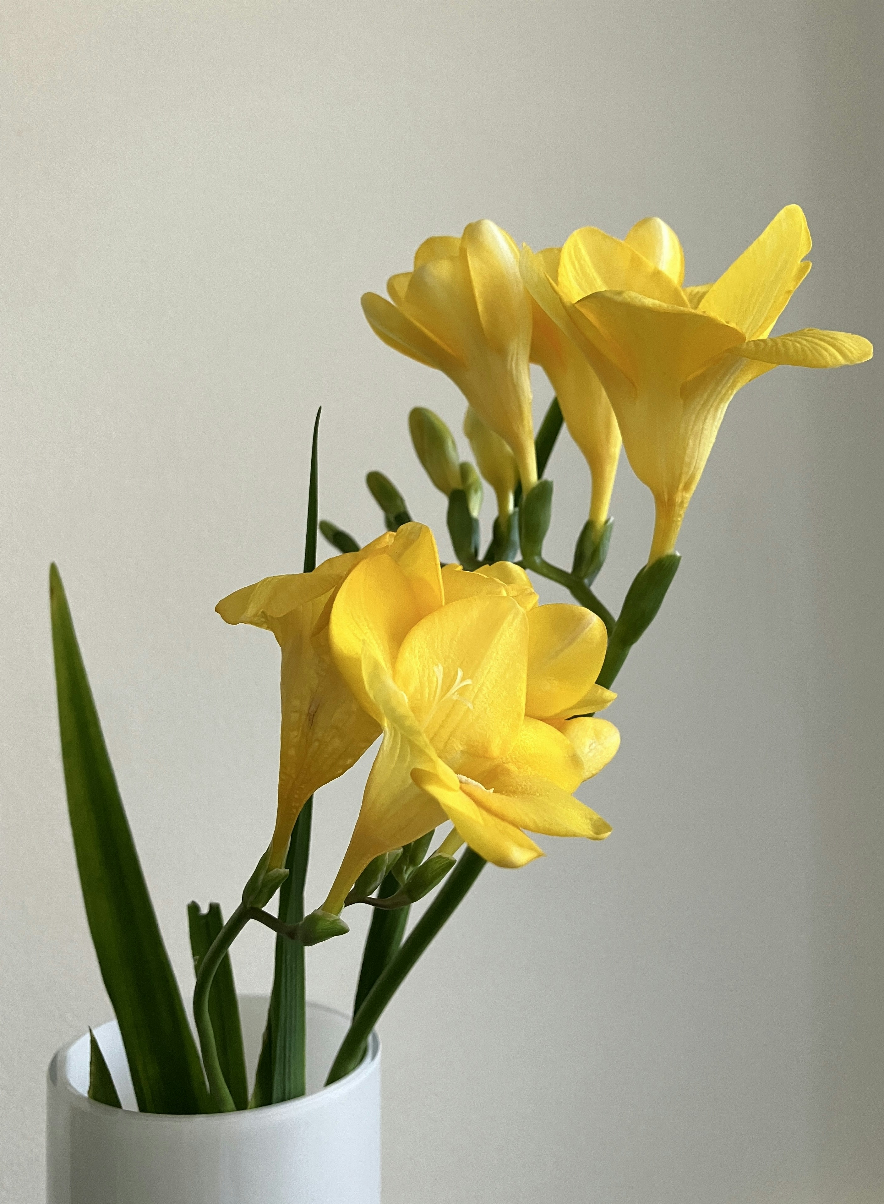 Photo by eriko_takahashi