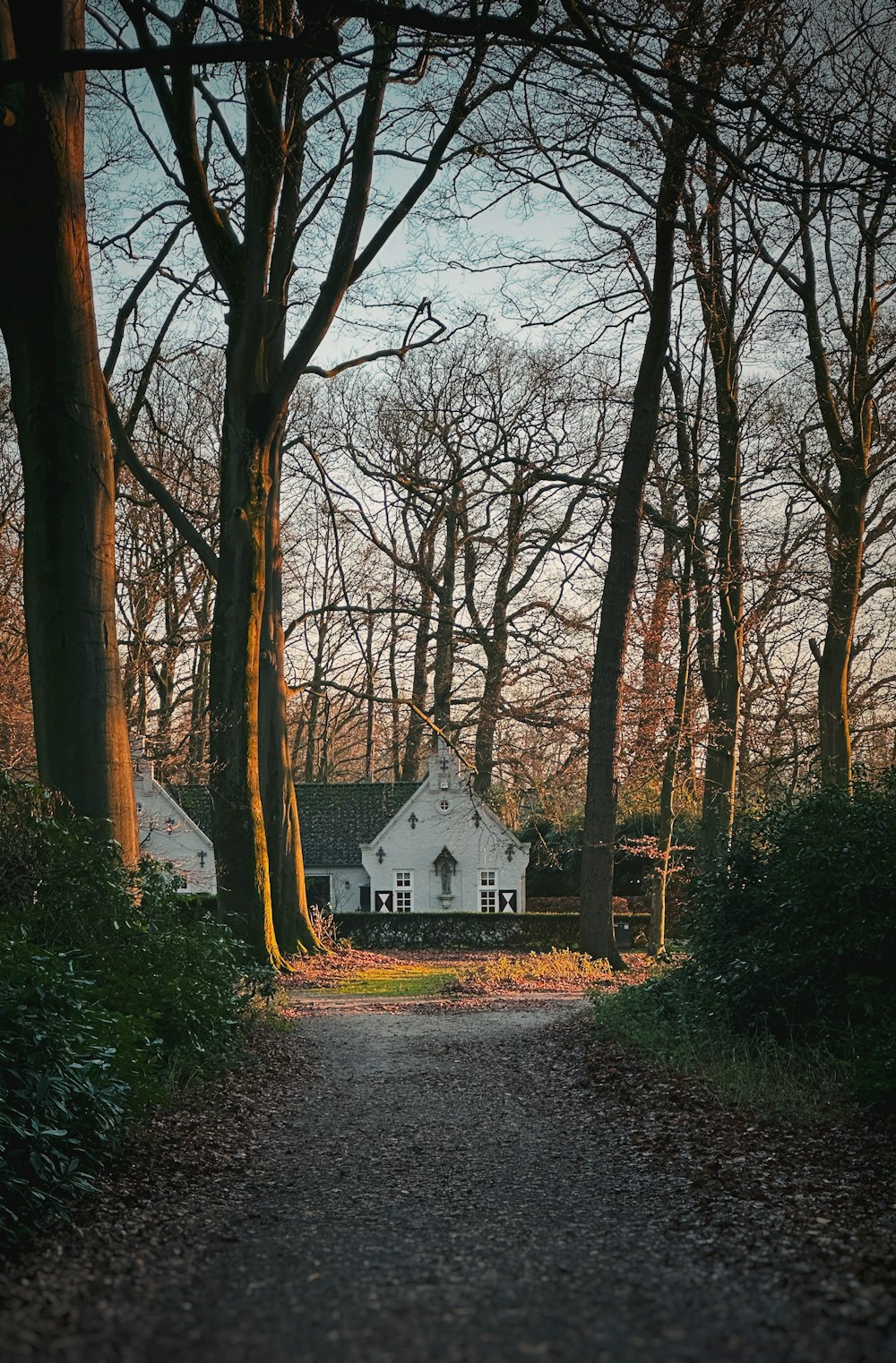 a white house in the middle of a wooded area