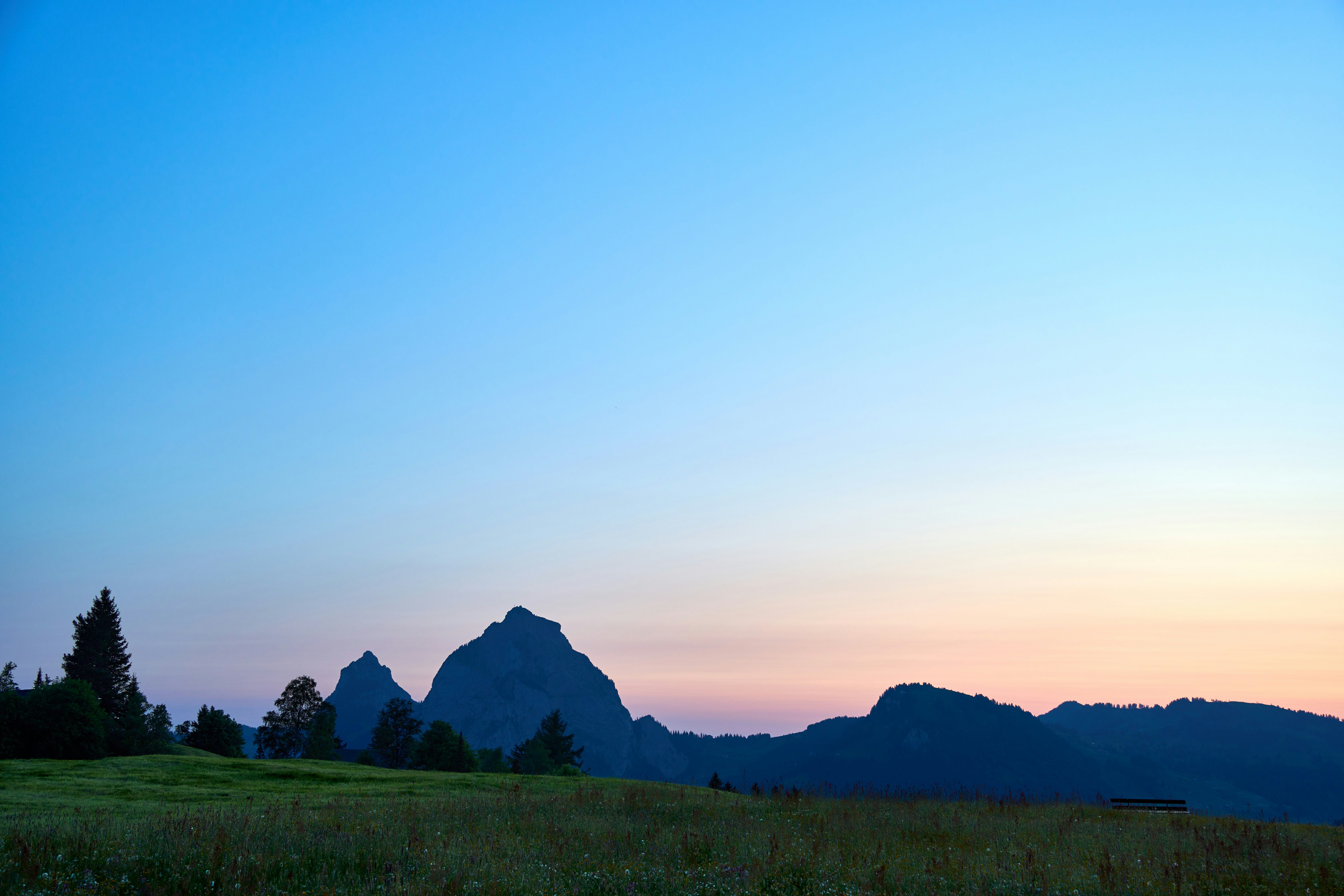 Photo by wolfgang_hasselmann