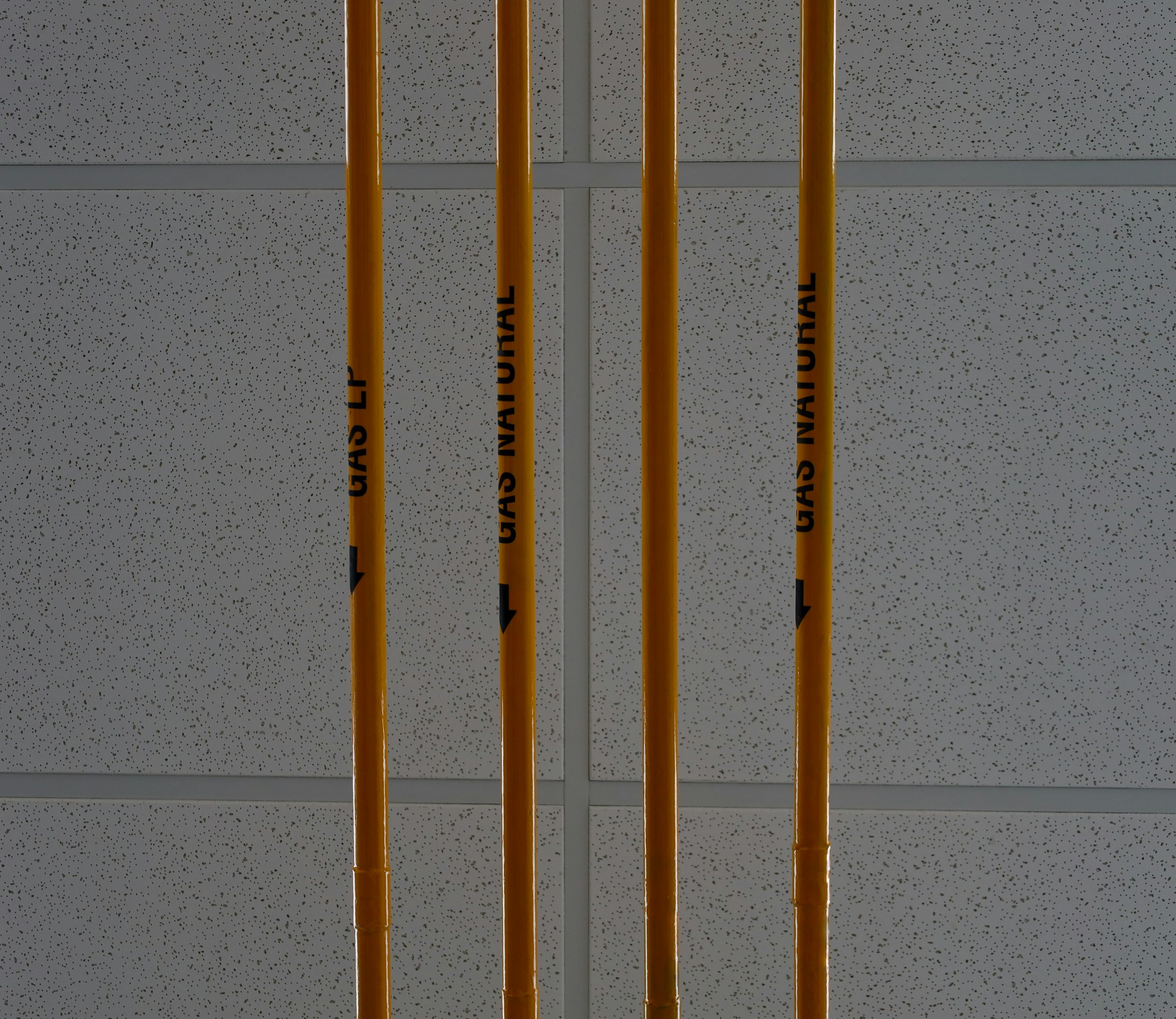 Photo by guilleb on Unsplash