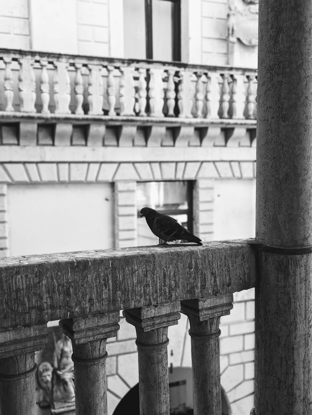 Una foto en blanco y negro de un pájaro en un balcón