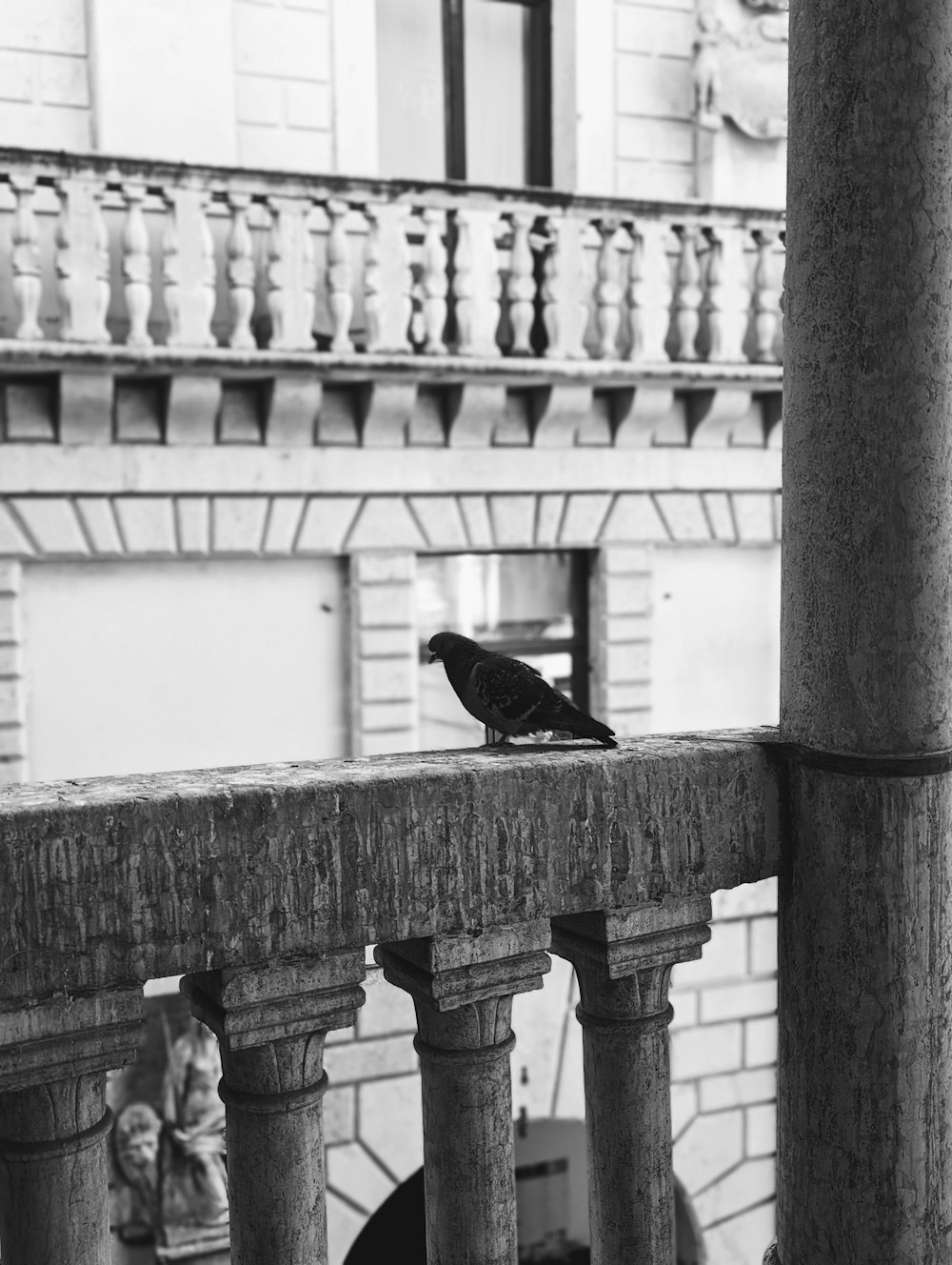 a black and white photo of a bird on a balcony