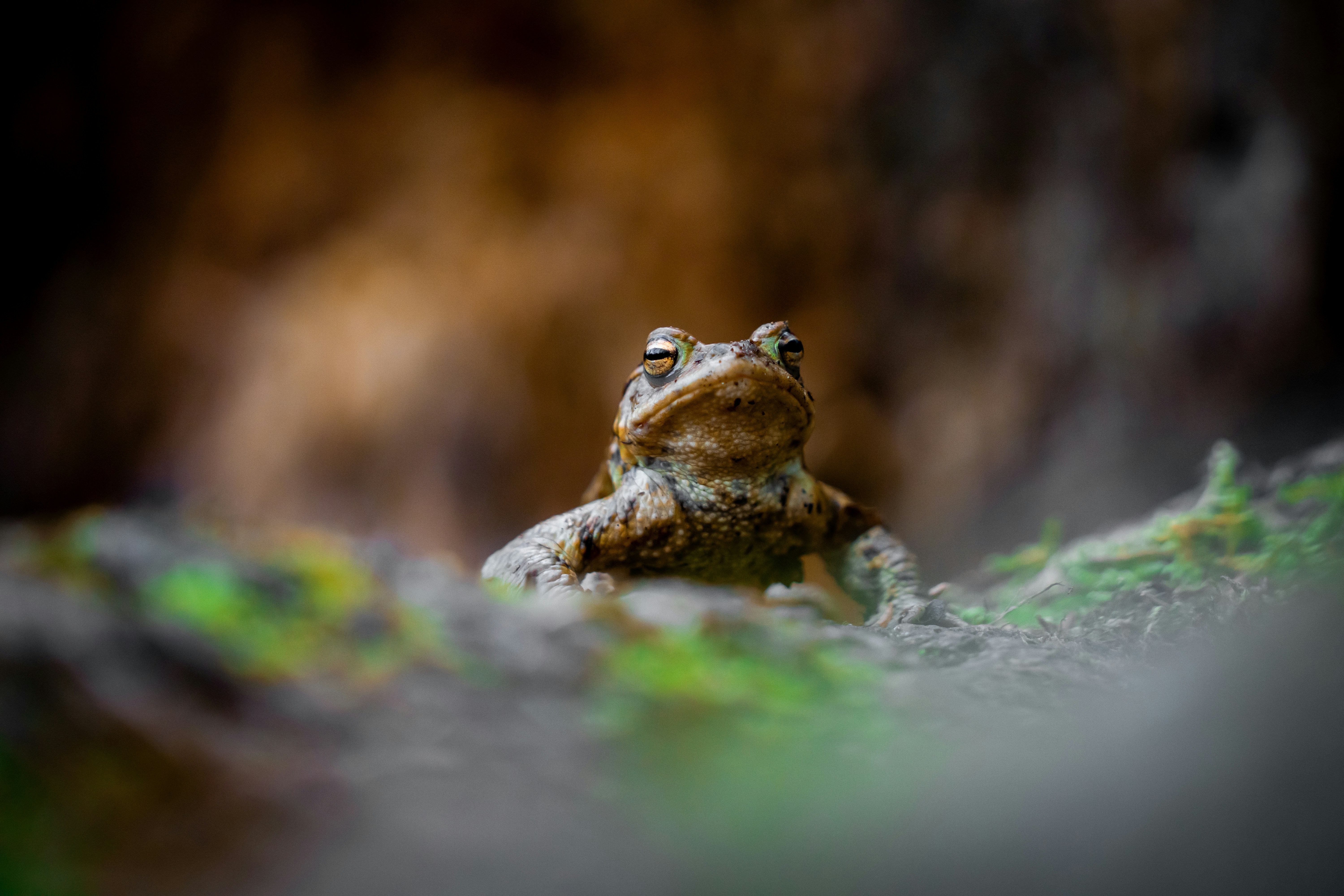 Photo by sarasgalerie