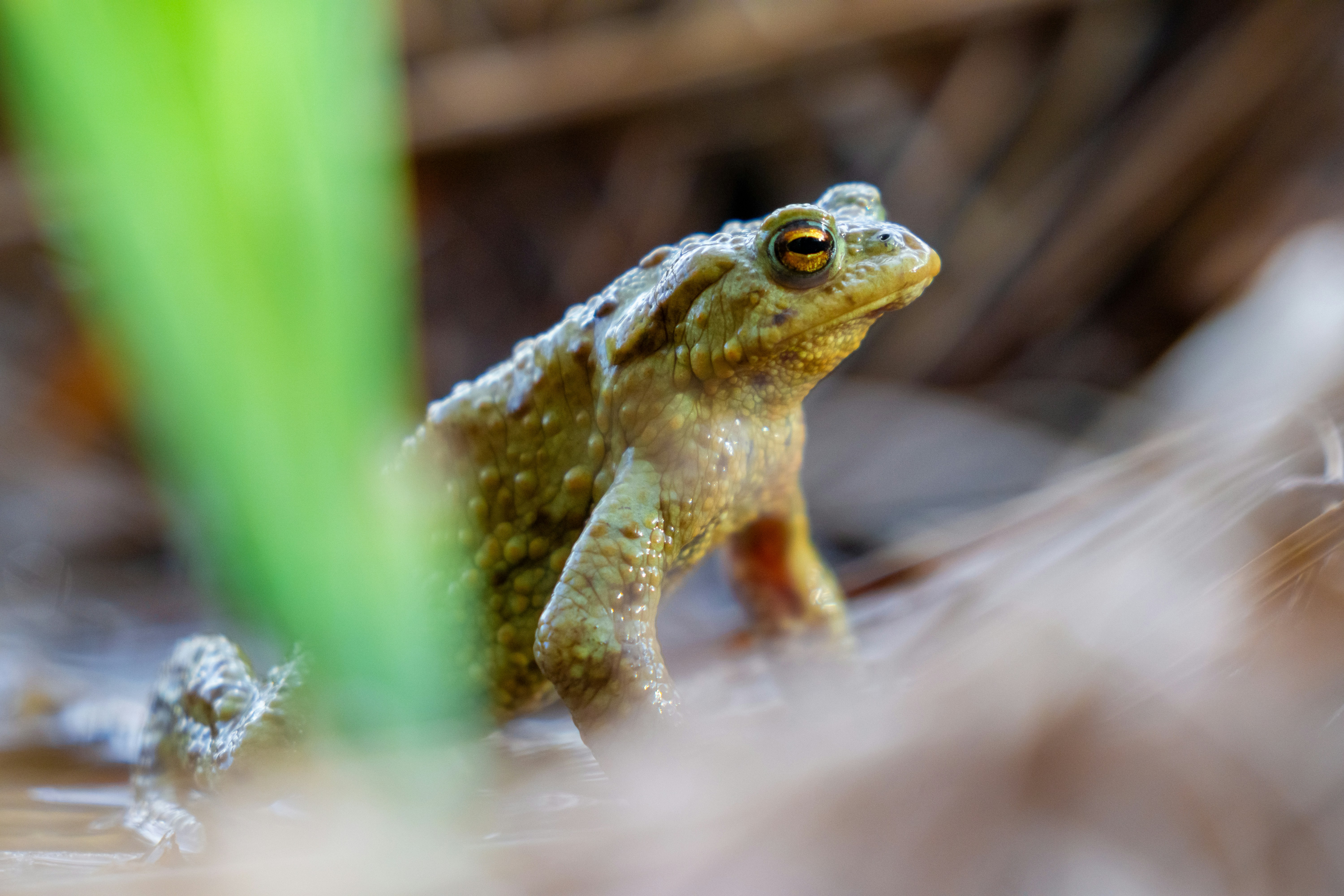 Photo by sarasgalerie