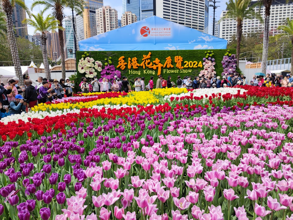 a field of tulips and other flowers with a sign in the background