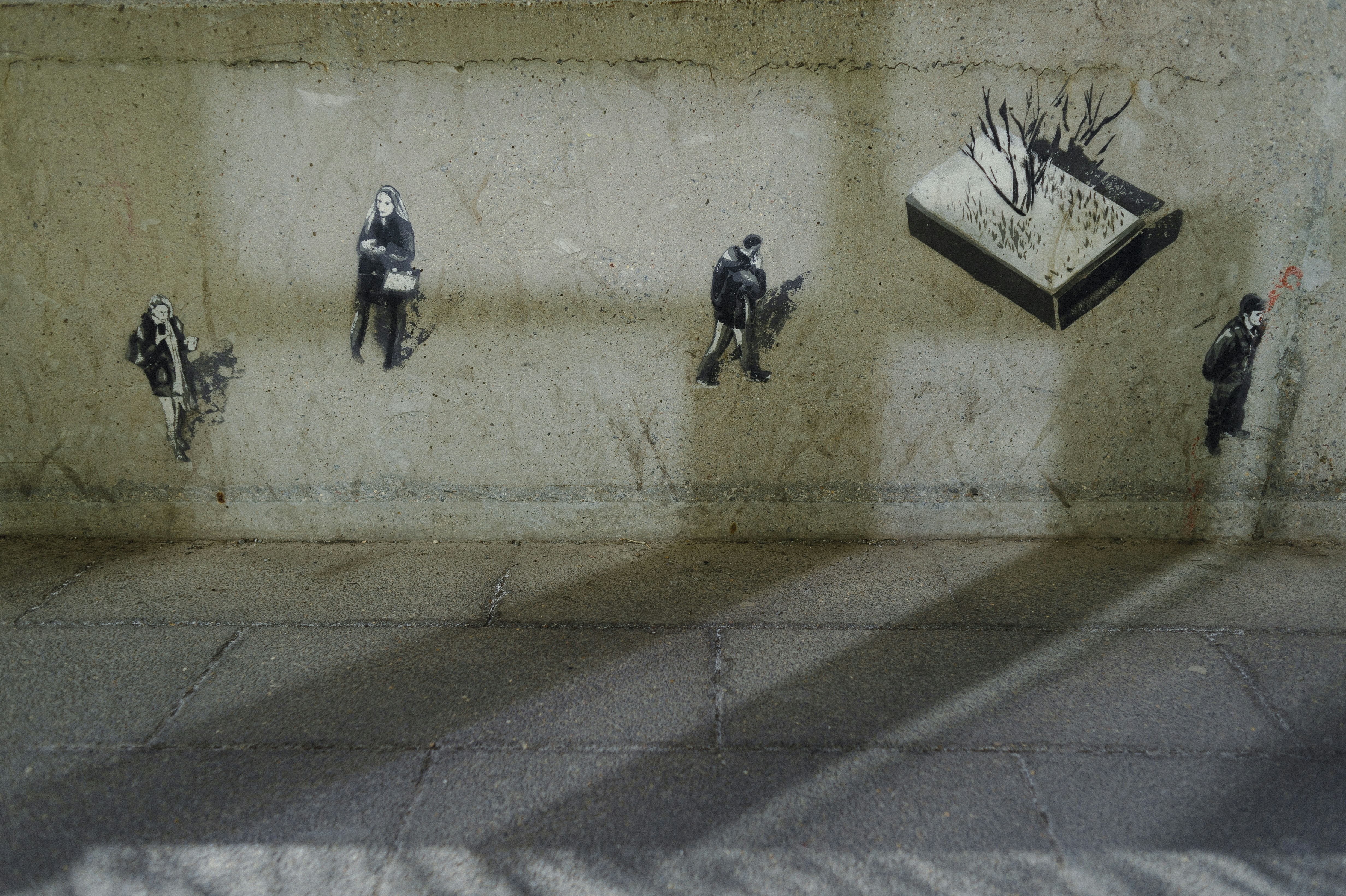 Photo by vonshnauzer