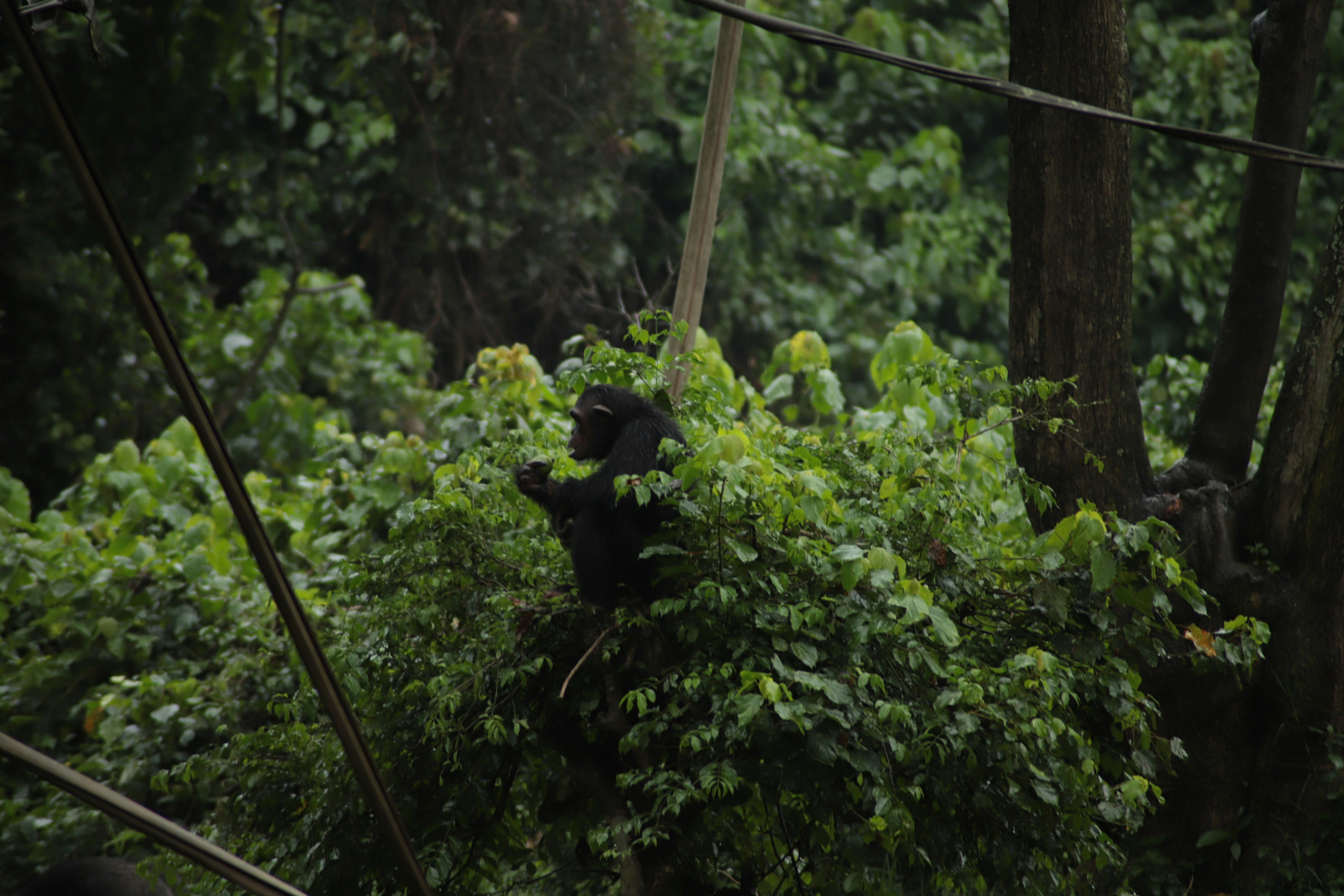 Photo by clintonmwebaze