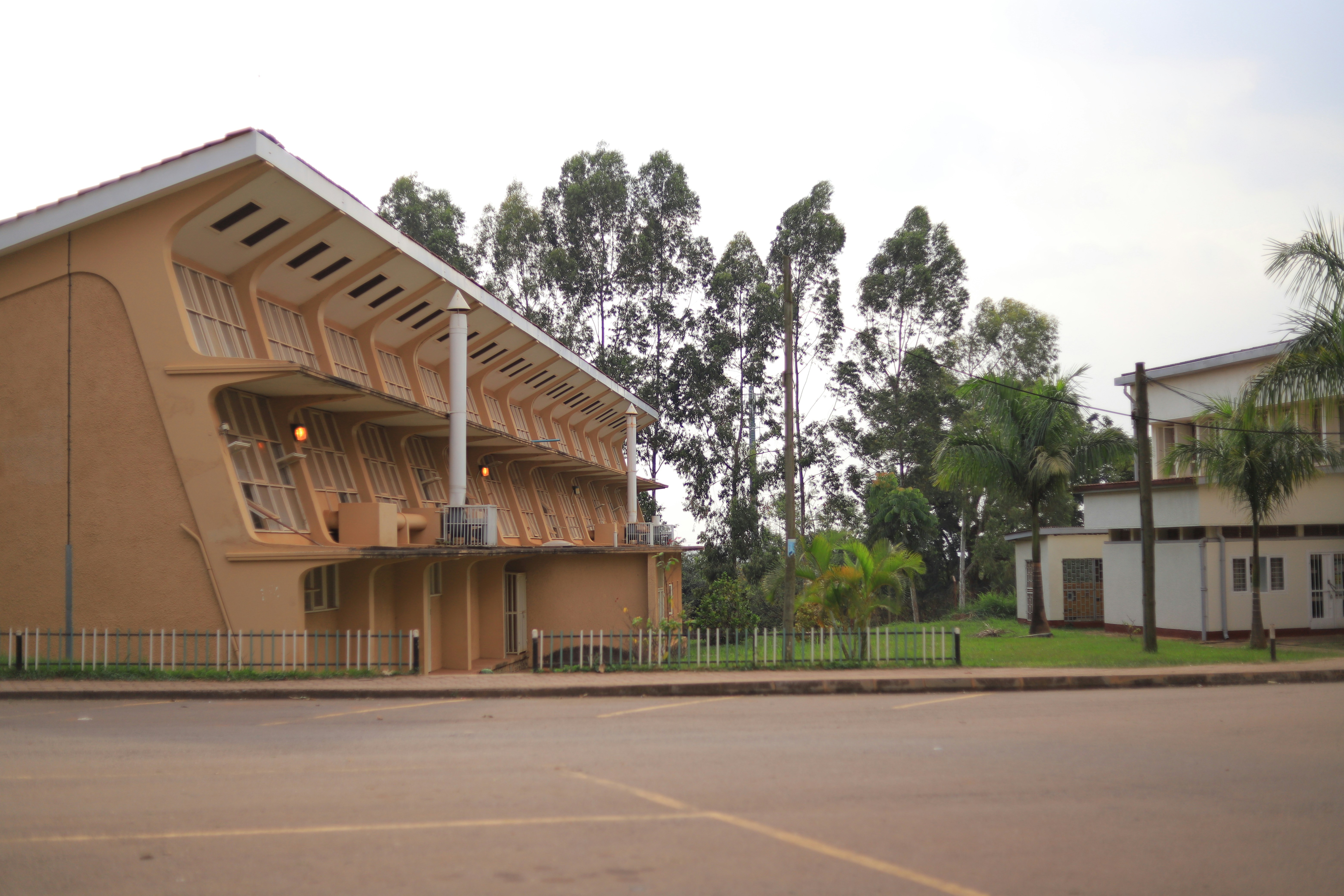 National Museum of Ethiopia photo 2