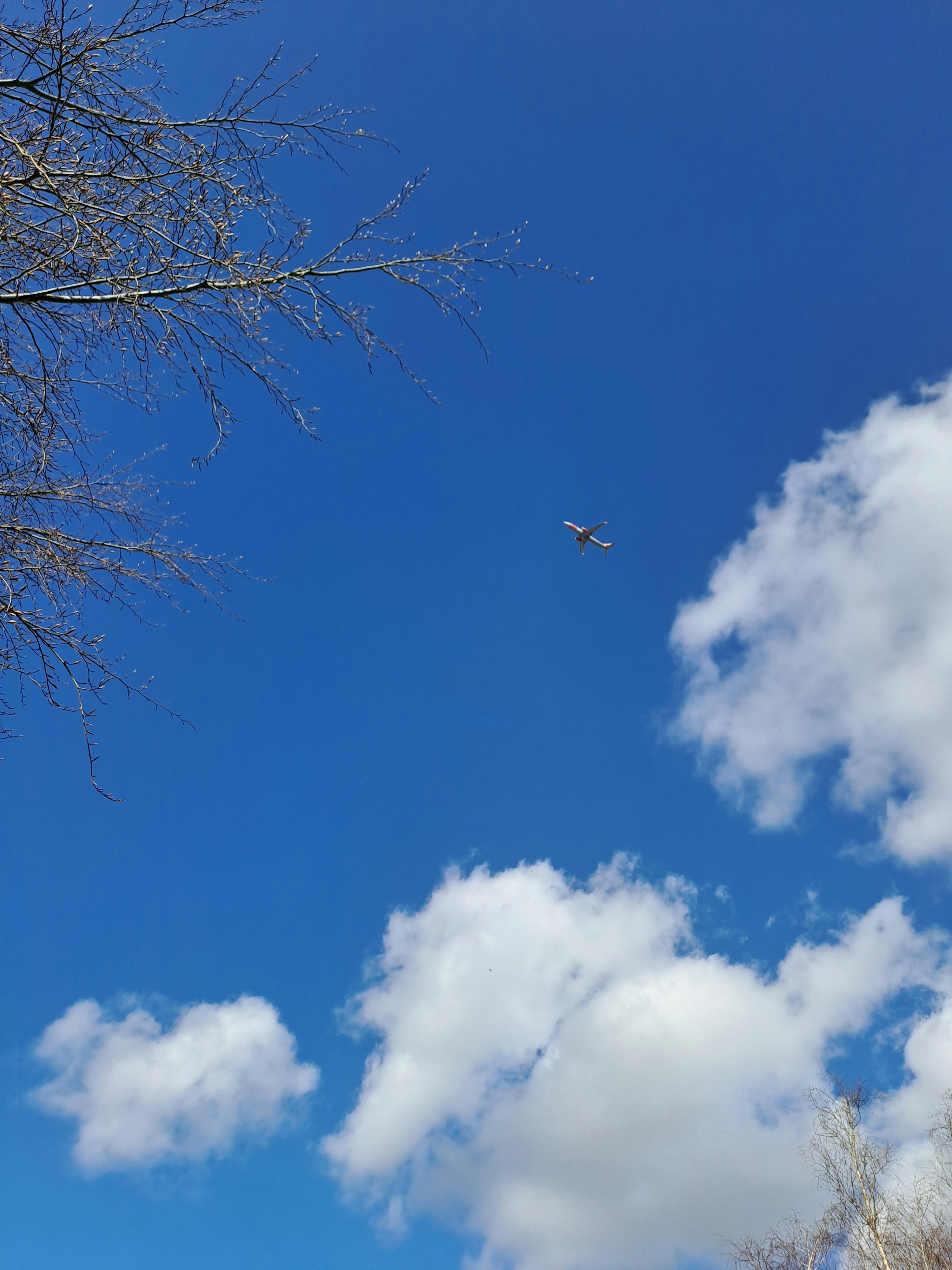 Photo by syndicate20