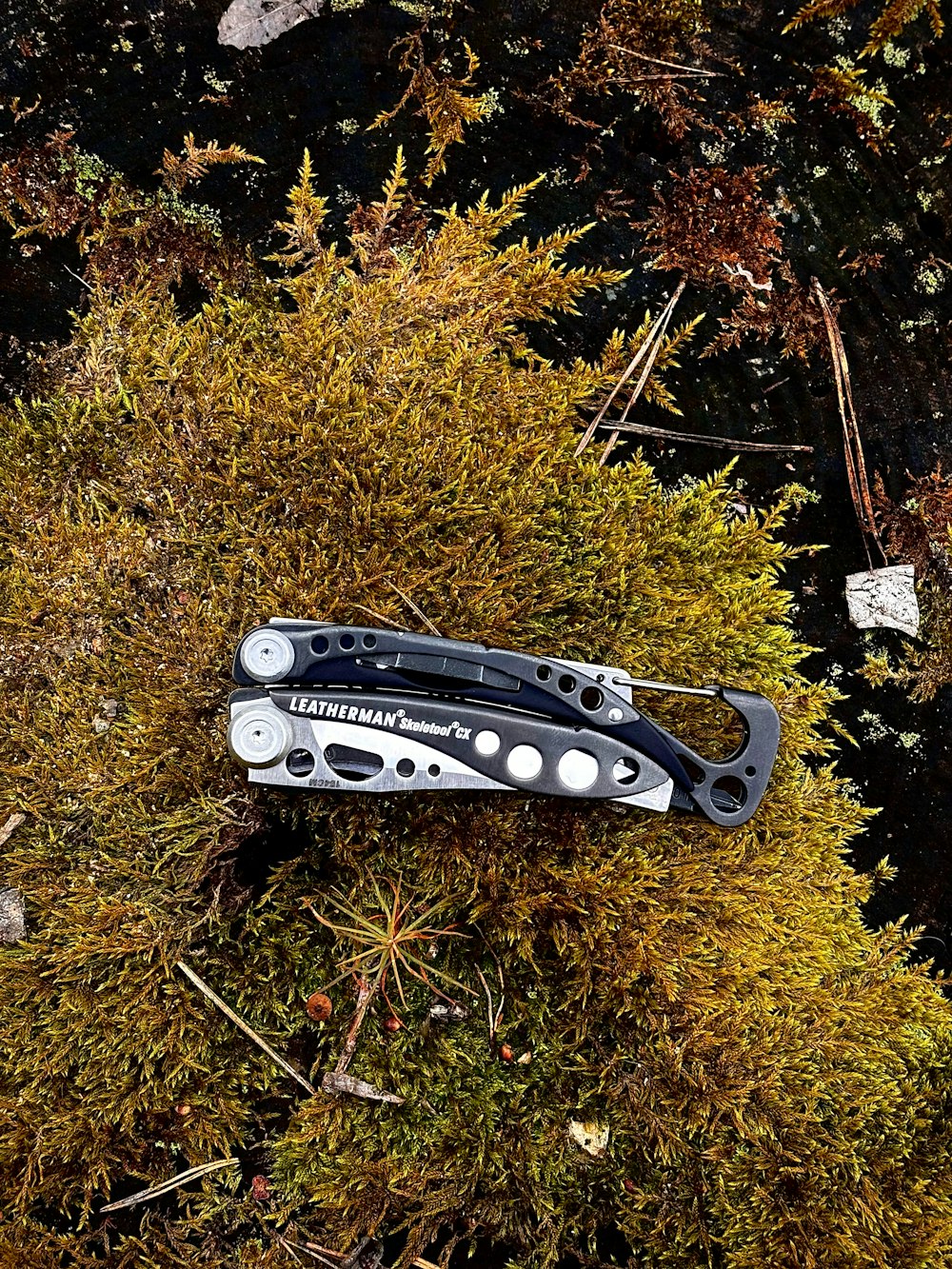 a pair of scissors laying on top of a patch of grass