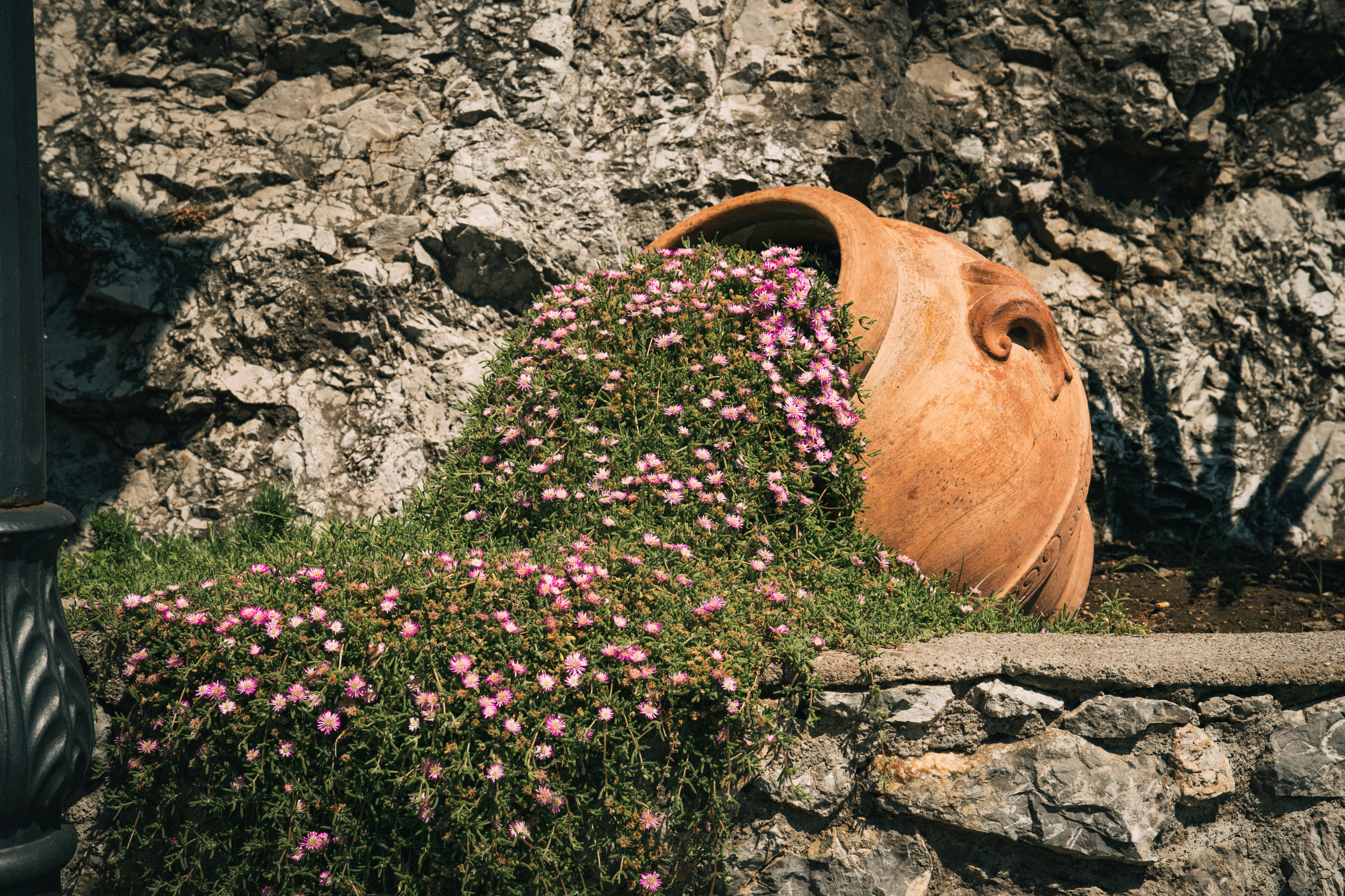 Photo by nickmartinelli98