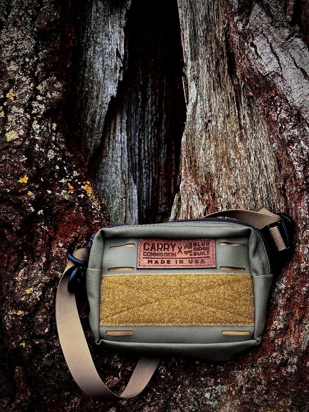 a bag sitting on top of a tree trunk
