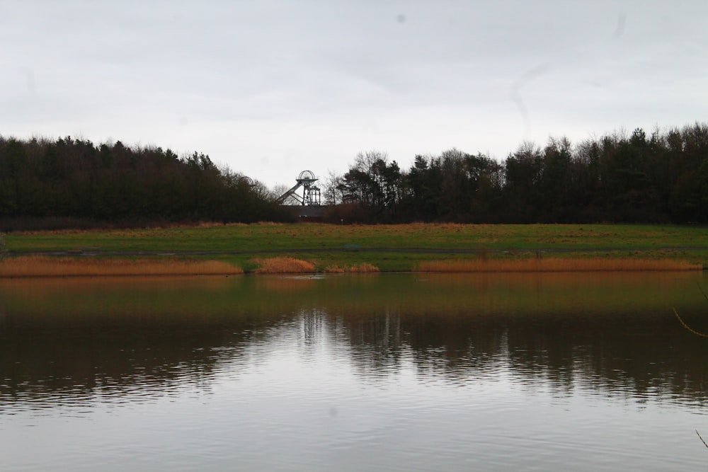 a large body of water sitting next to a forest