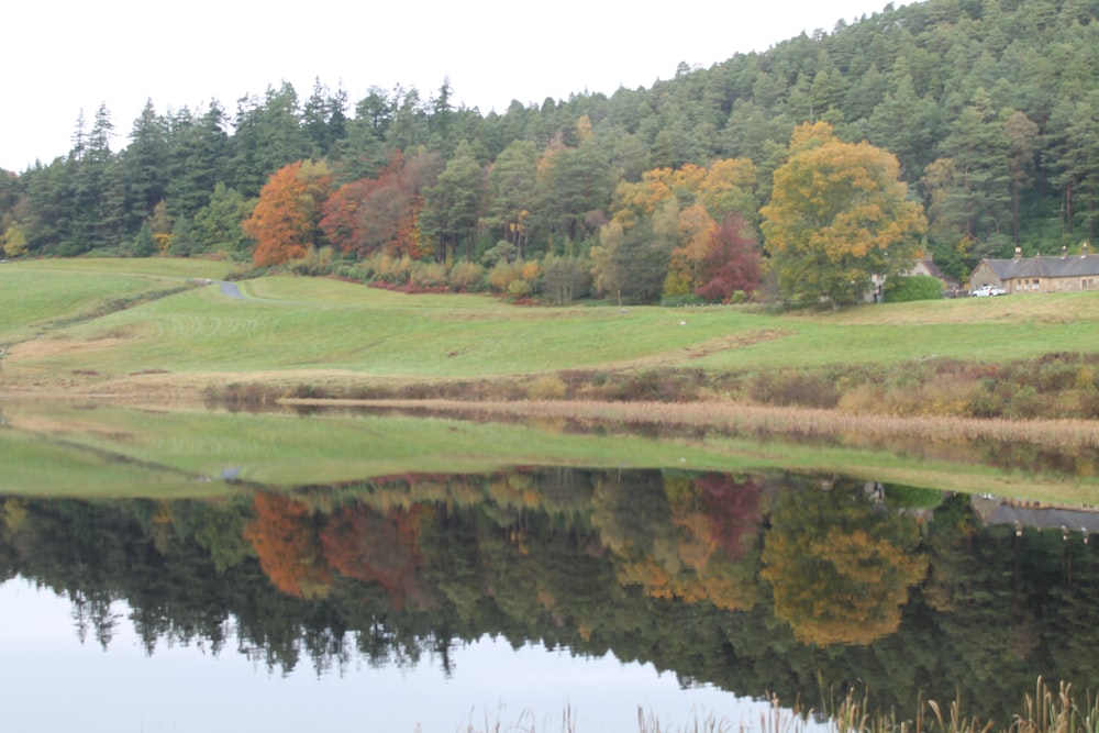 a large body of water surrounded by trees