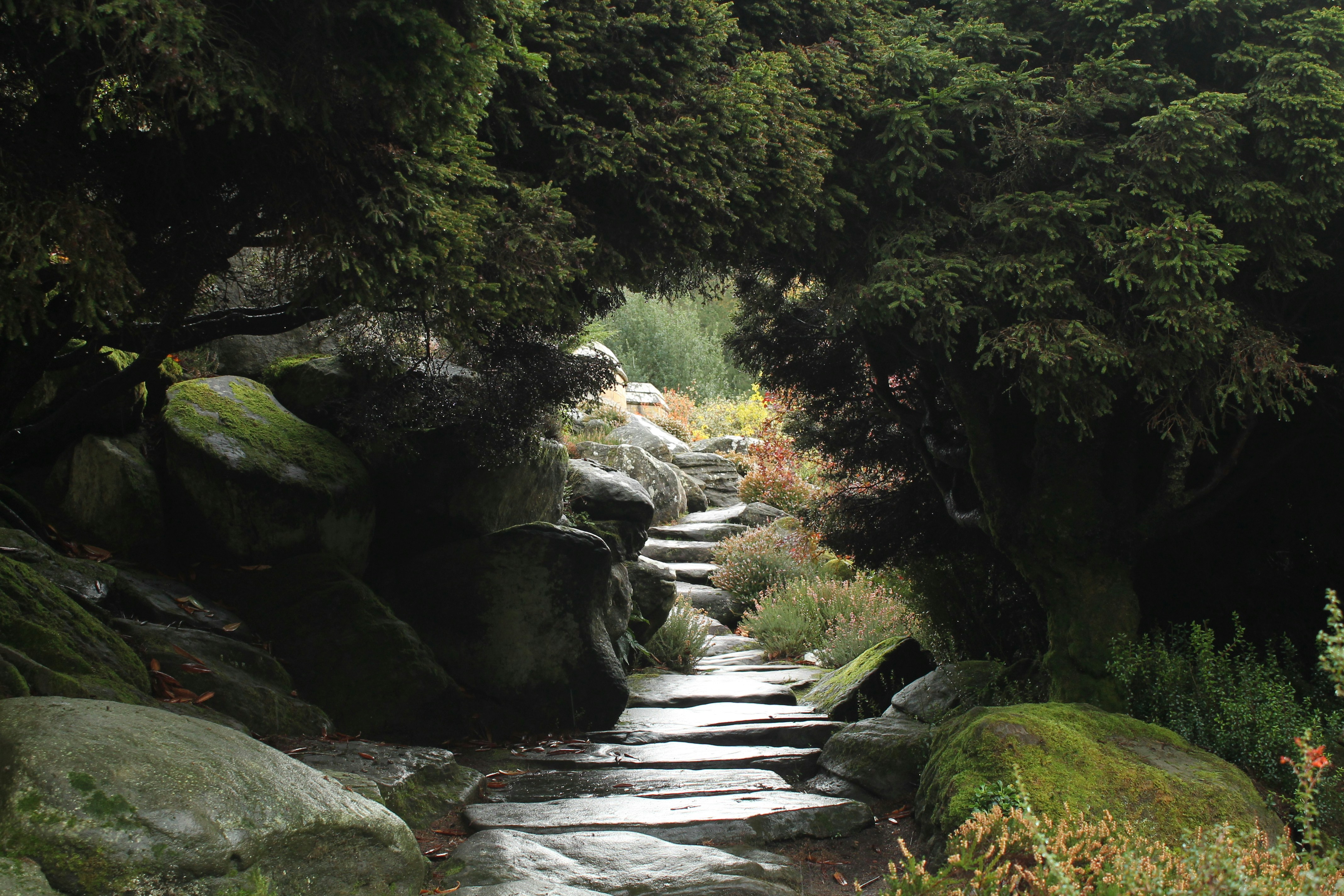 a stone path surrounded by trees and rocks