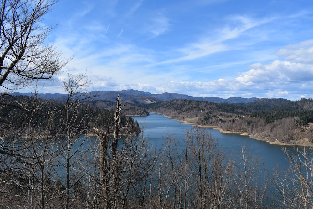 a body of water surrounded by trees and mountains