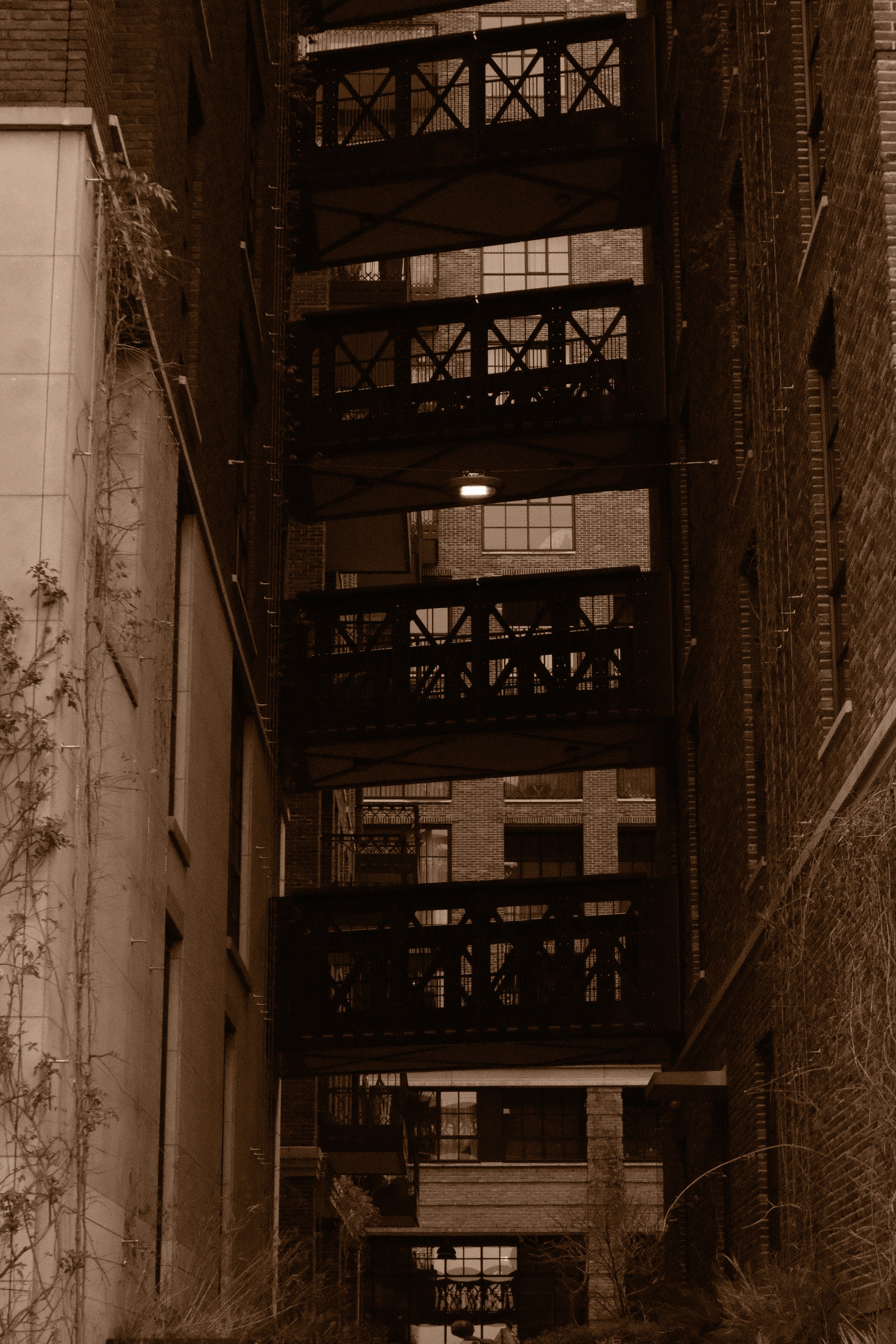 Photo by juniorphoto