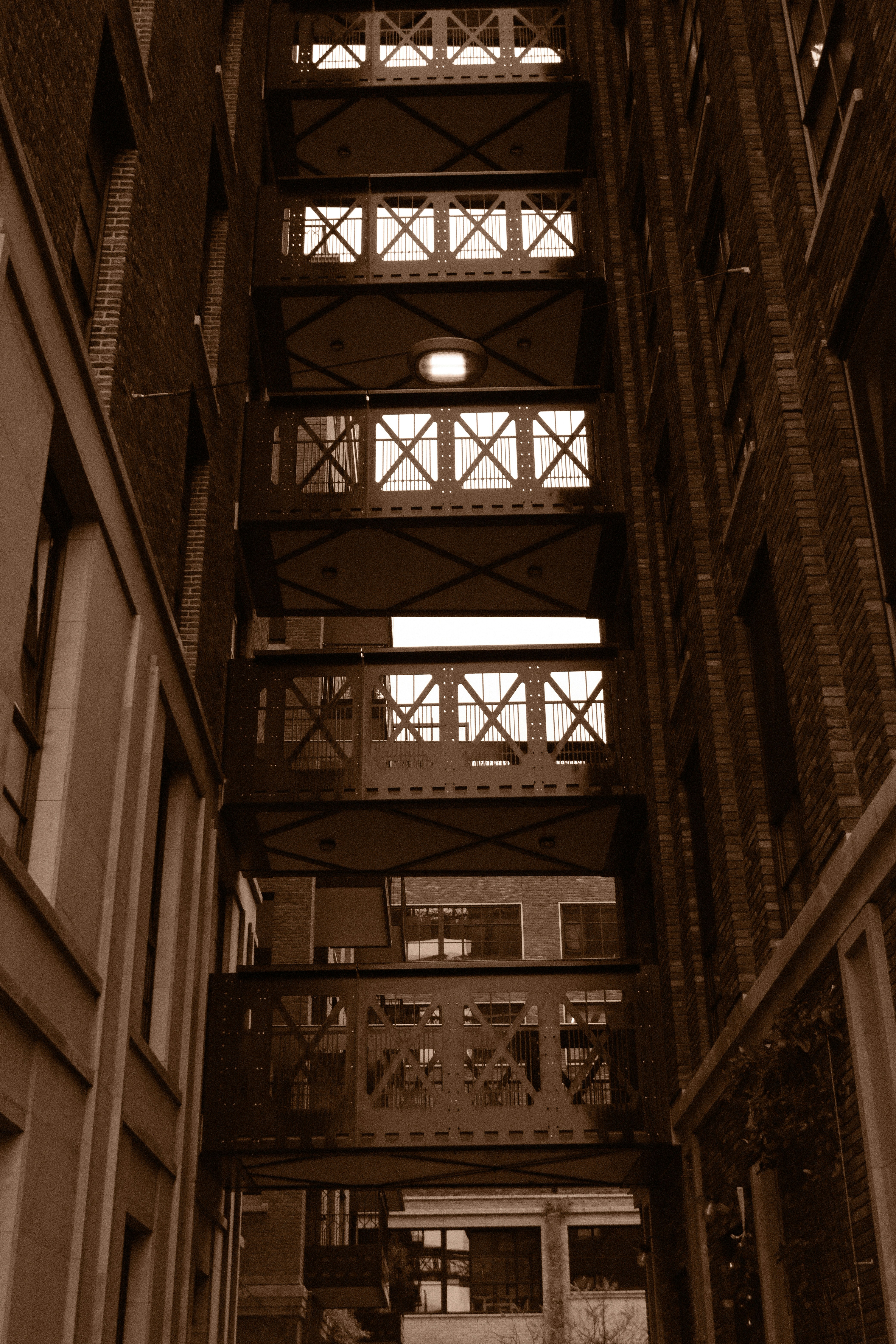 Photo by juniorphoto