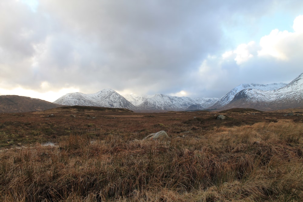 a grassy field with mountains in the background