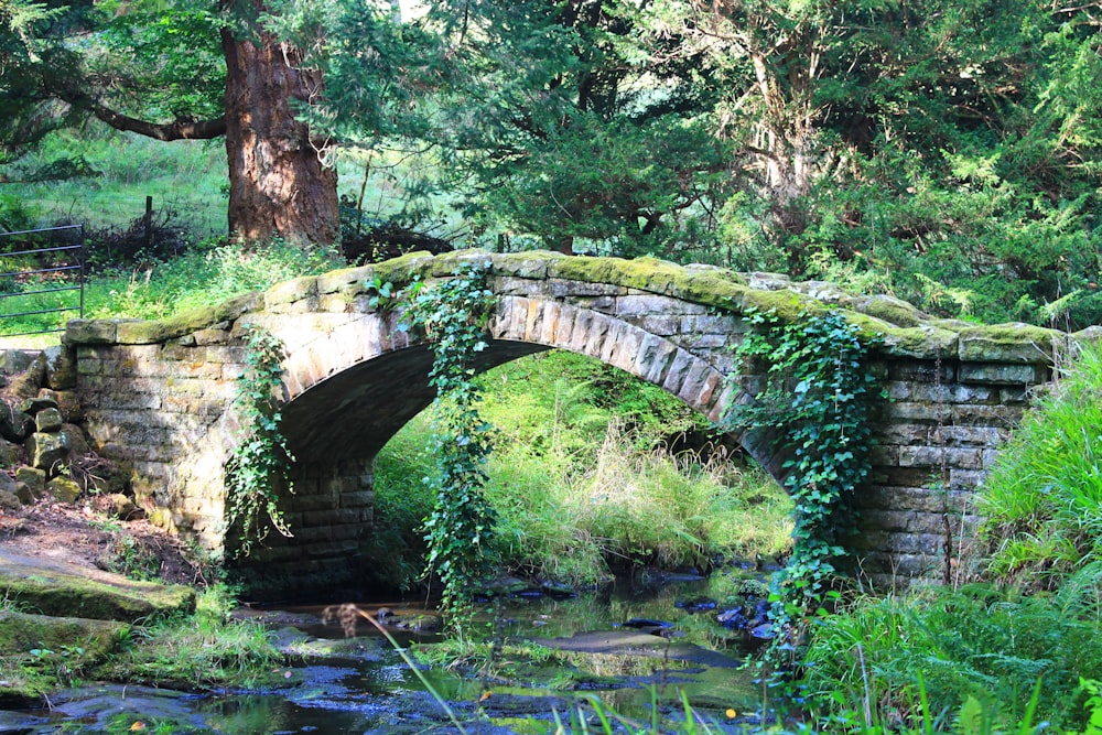 a stone bridge with ivy growing over it