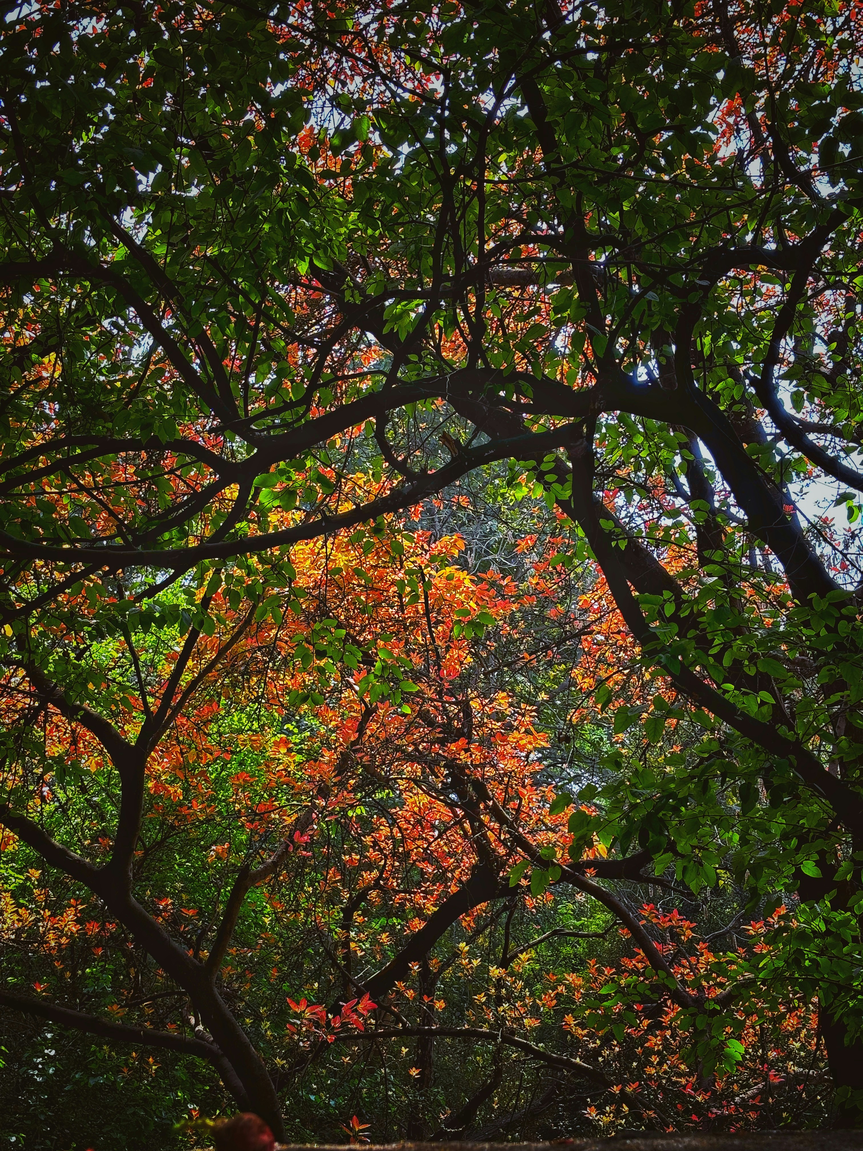 Photo by ankitmshr993