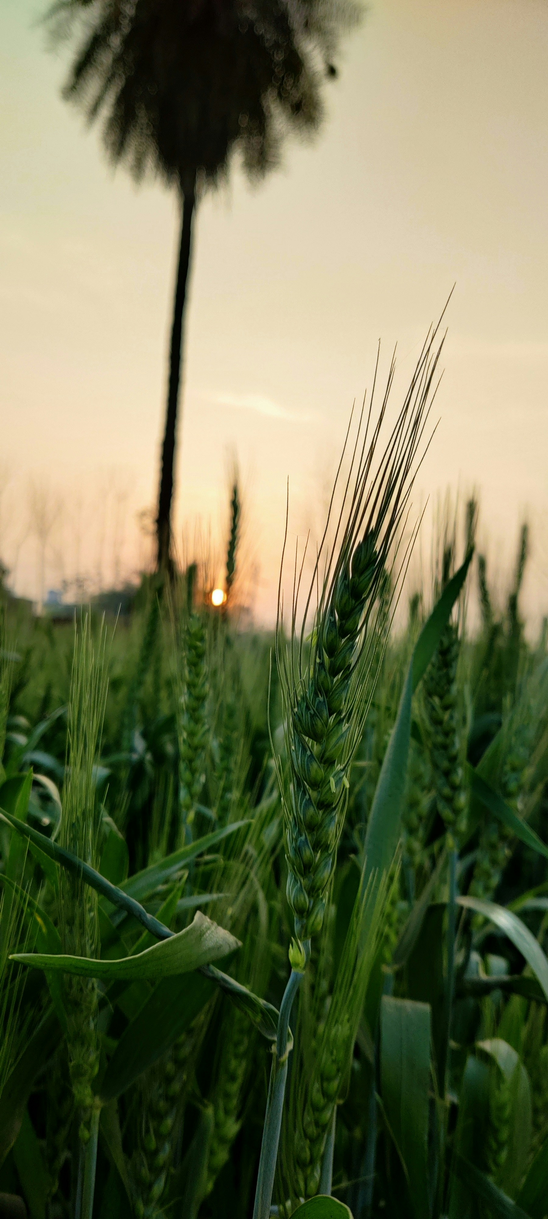 Photo by aayushi_choudhary