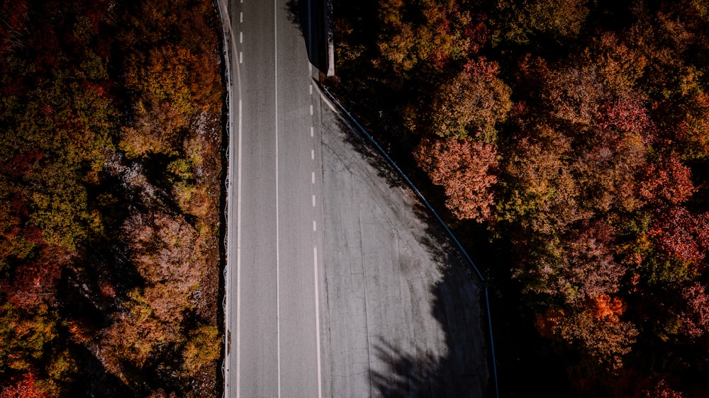 an aerial view of a road surrounded by trees